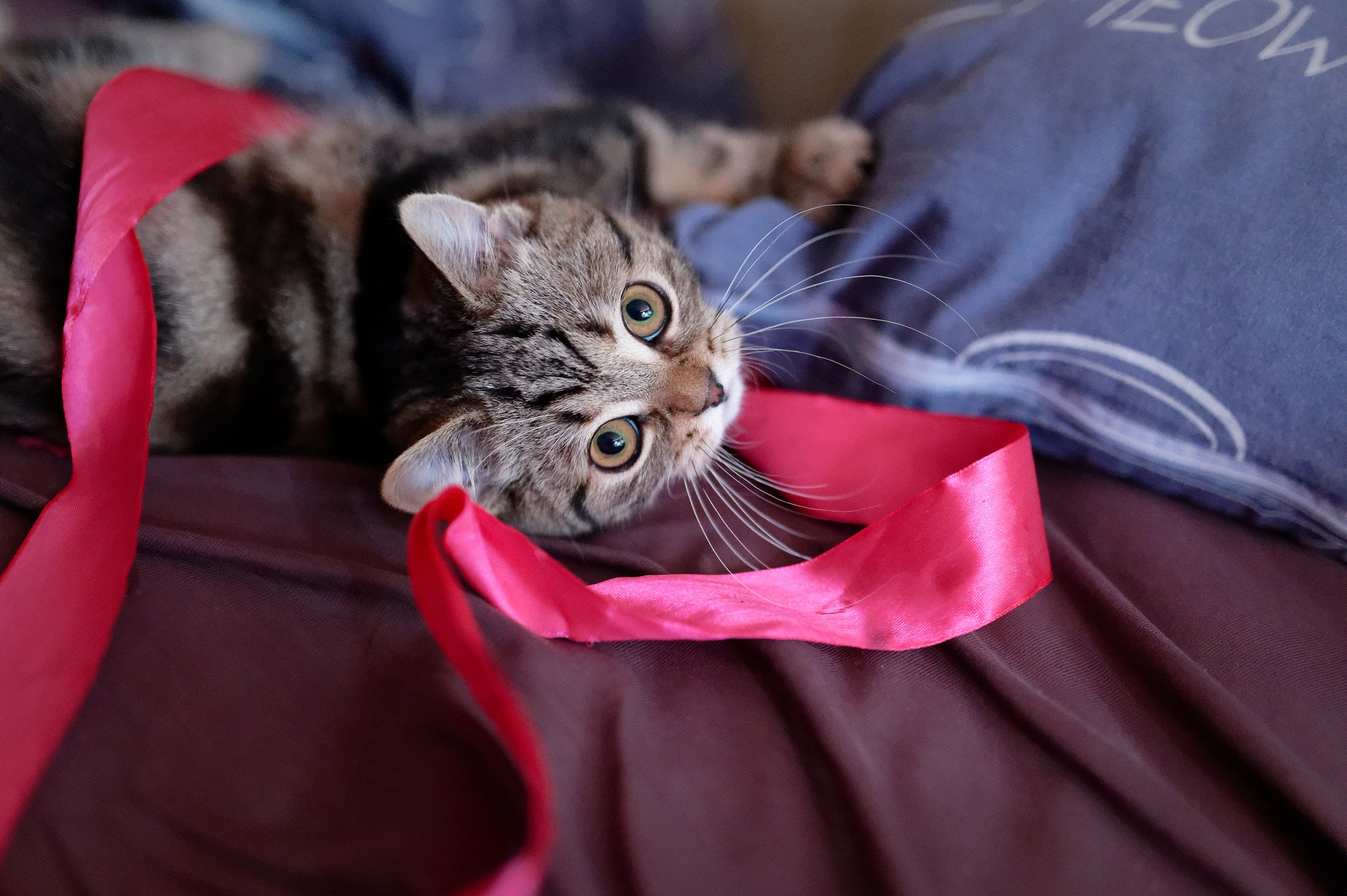 Фотограф в городе Омске Константин Зоткин