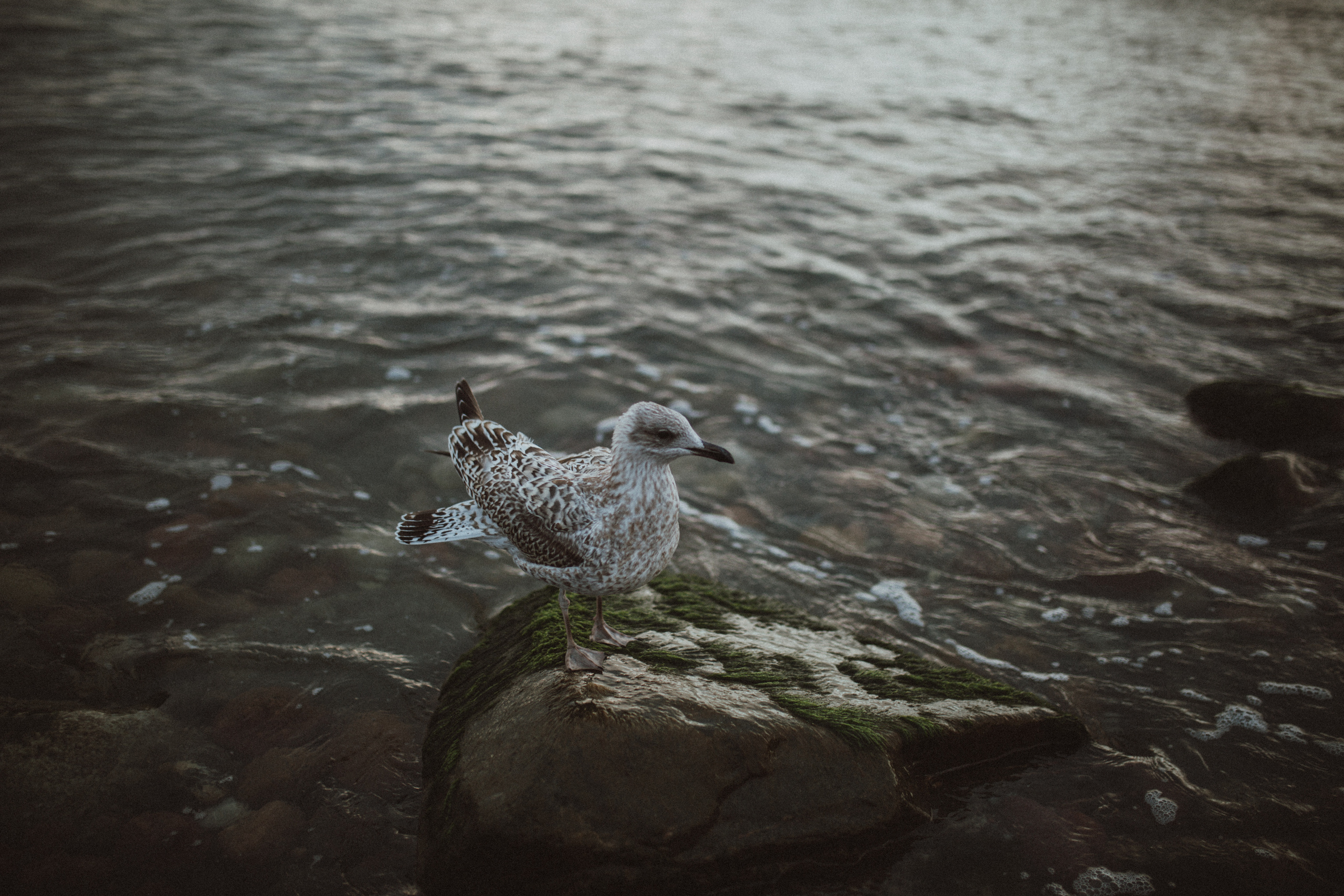 Breaking Bed. Фотограф в Калининграде Дмитрий Мишин