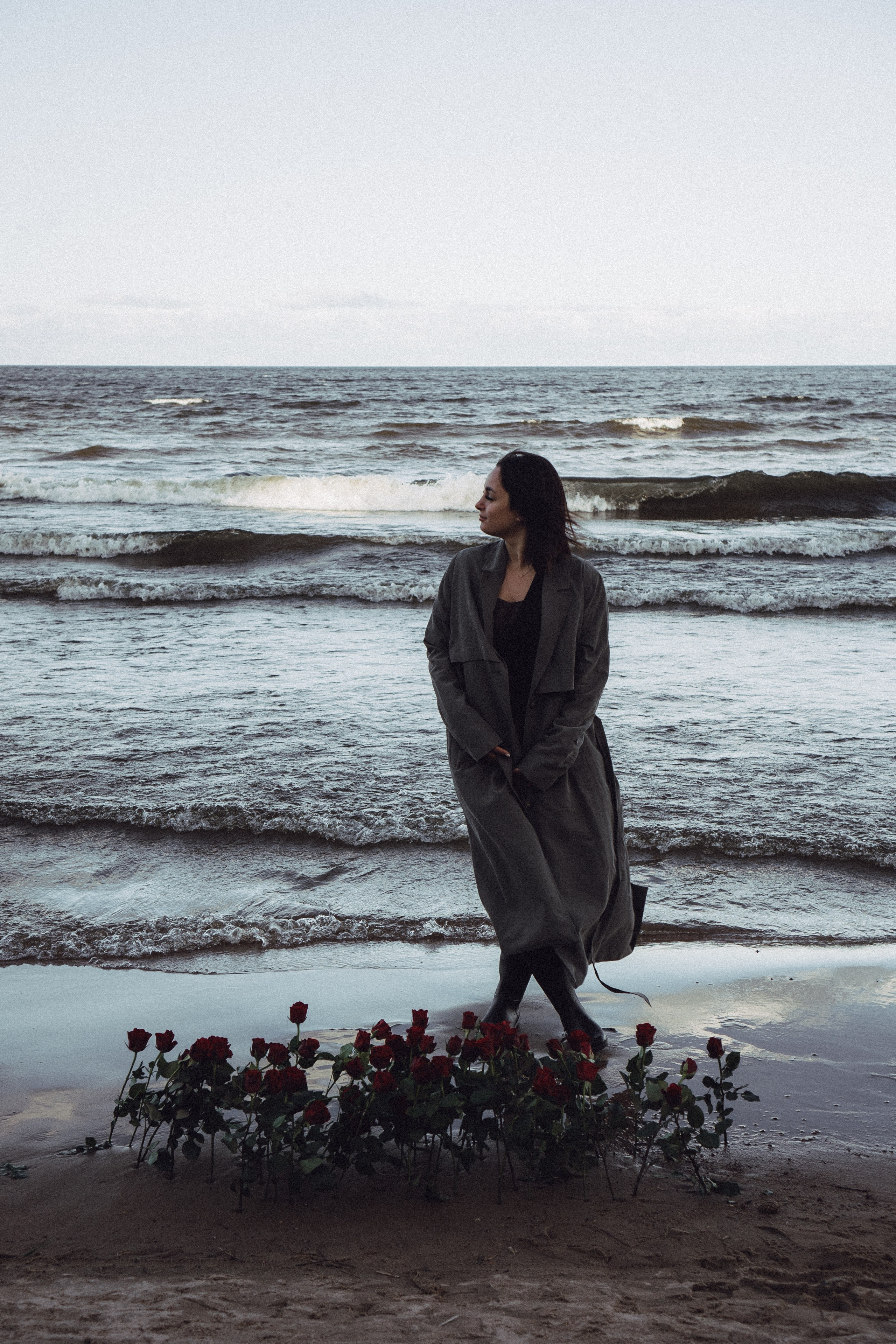 Розы. Профессиональный фотограф, Санкт-Петербург — Виктория Богомолова