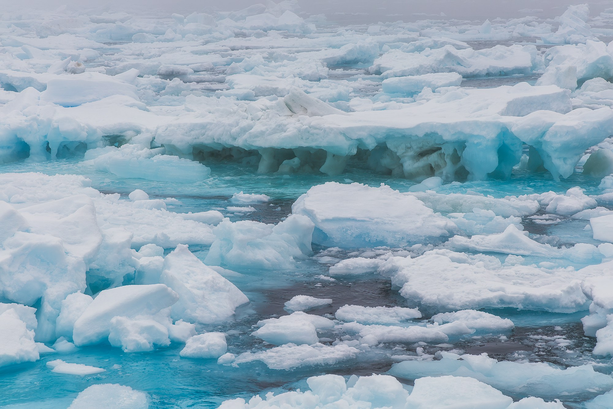 Арктика. Аэросъемка в Архангельске, Александр Ермолин