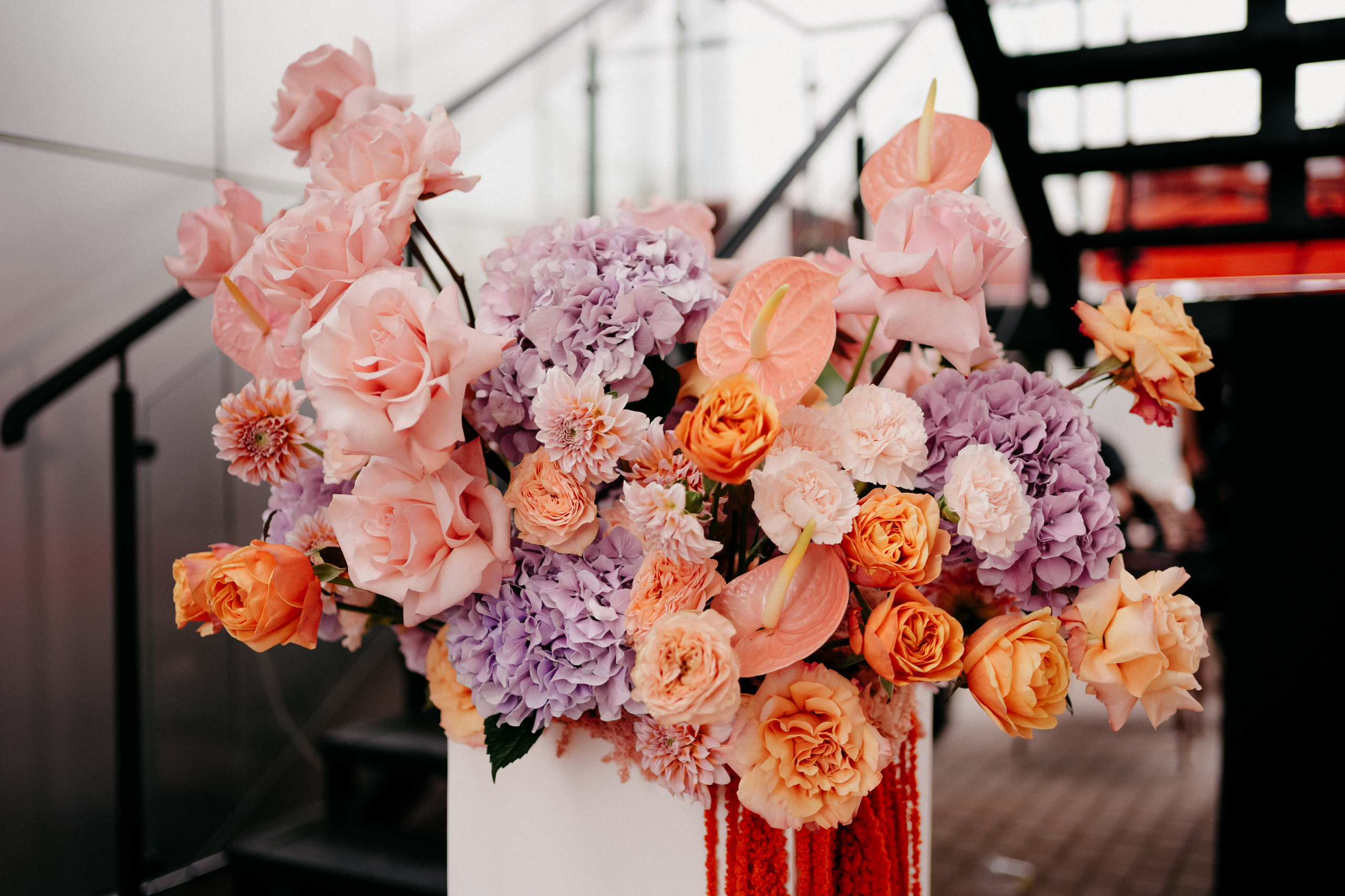 Рокет. Фотограф в Москве Дмитрий Рогов