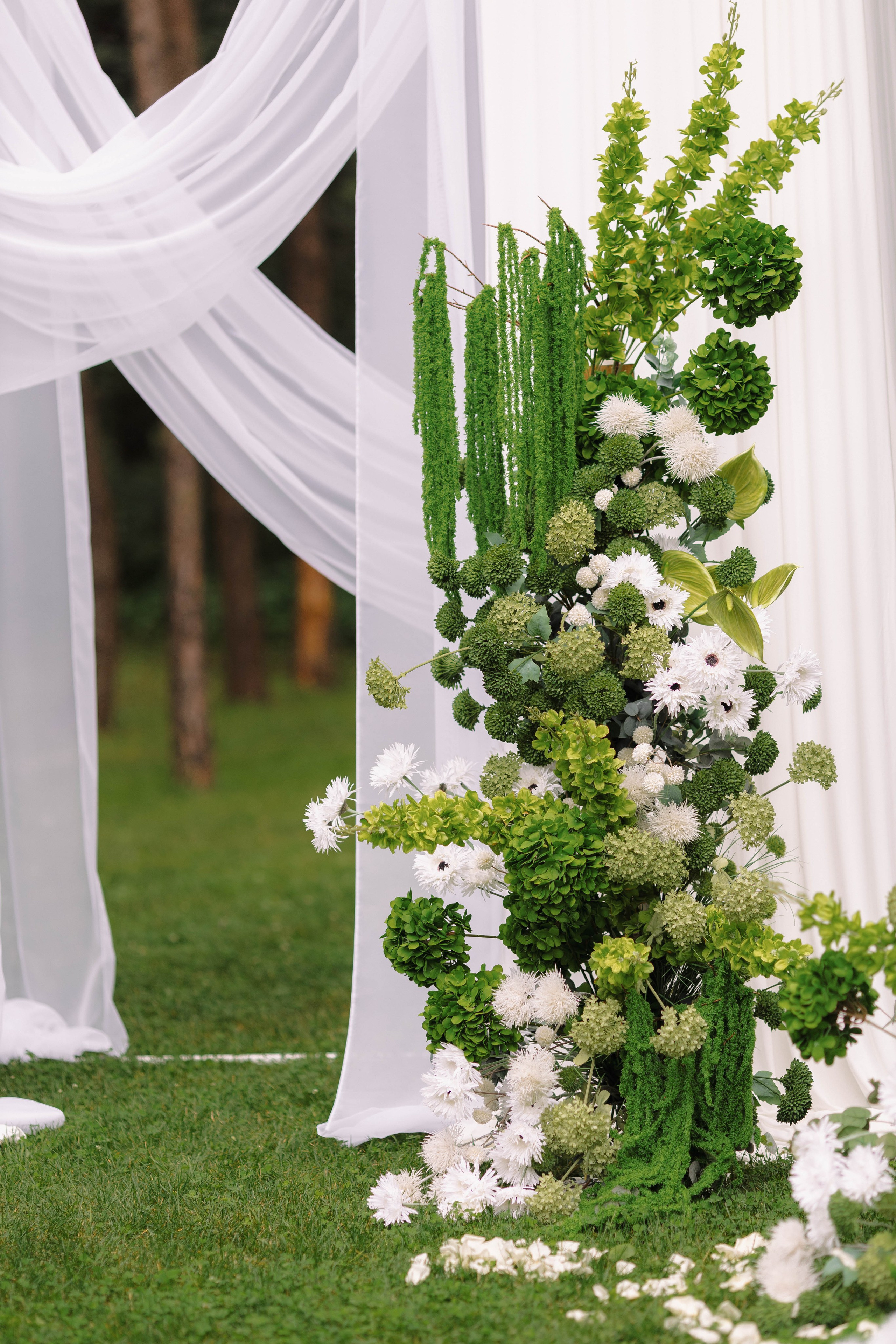 Зеленый сад