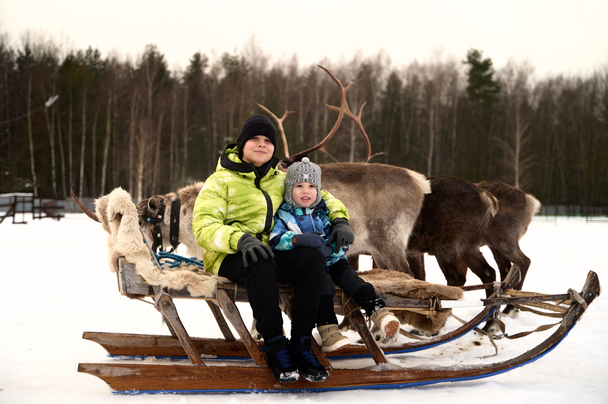 2023.12.30 Ирина Богдан Адам. Фотограф Егорьевск Коломна Воскресенск