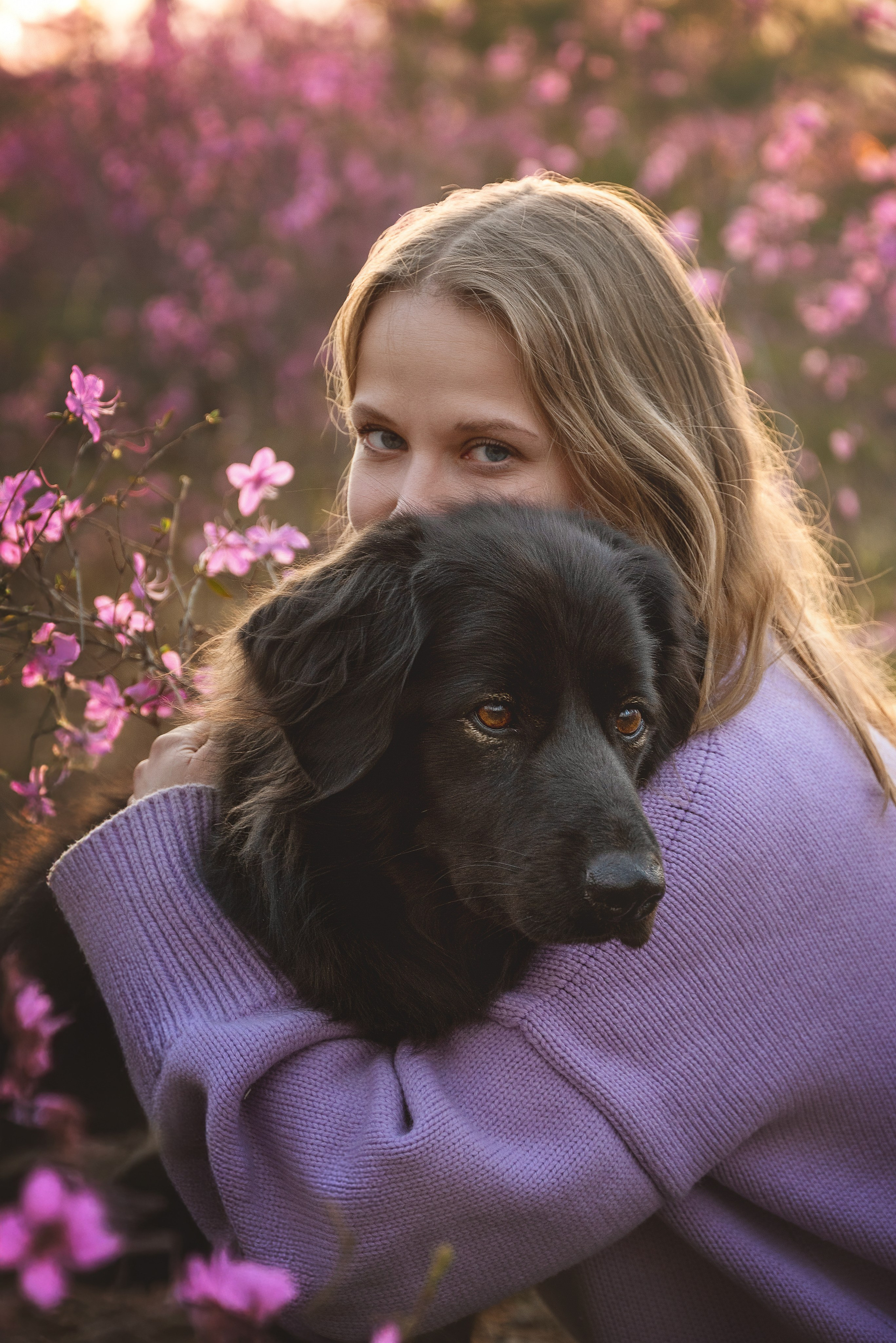 Съемка с собаками, животными. Сайт фотографа Елены Коноваловой Иркутск