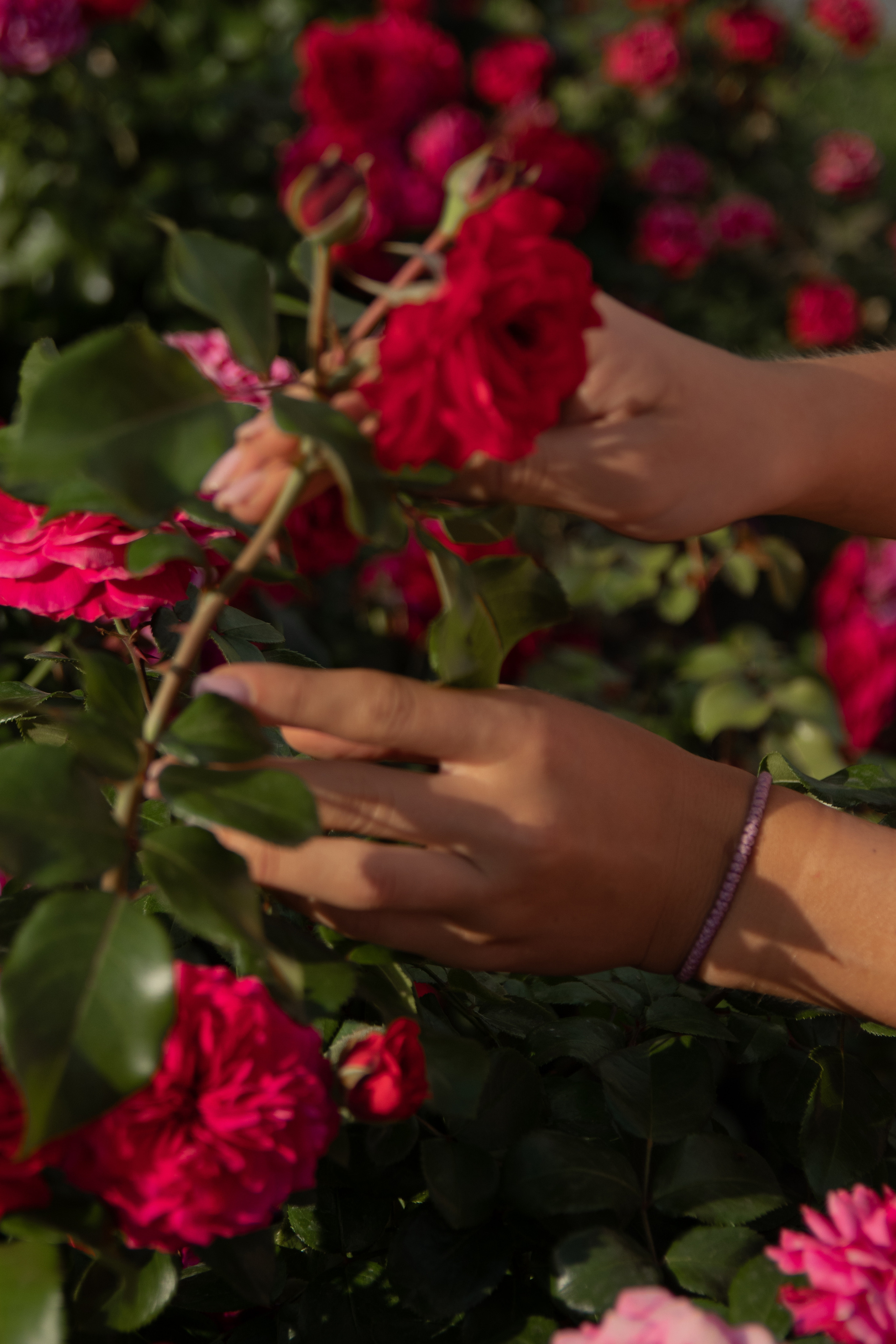 КСЕНИЯ. Свадебный и женский фотограф в Москве