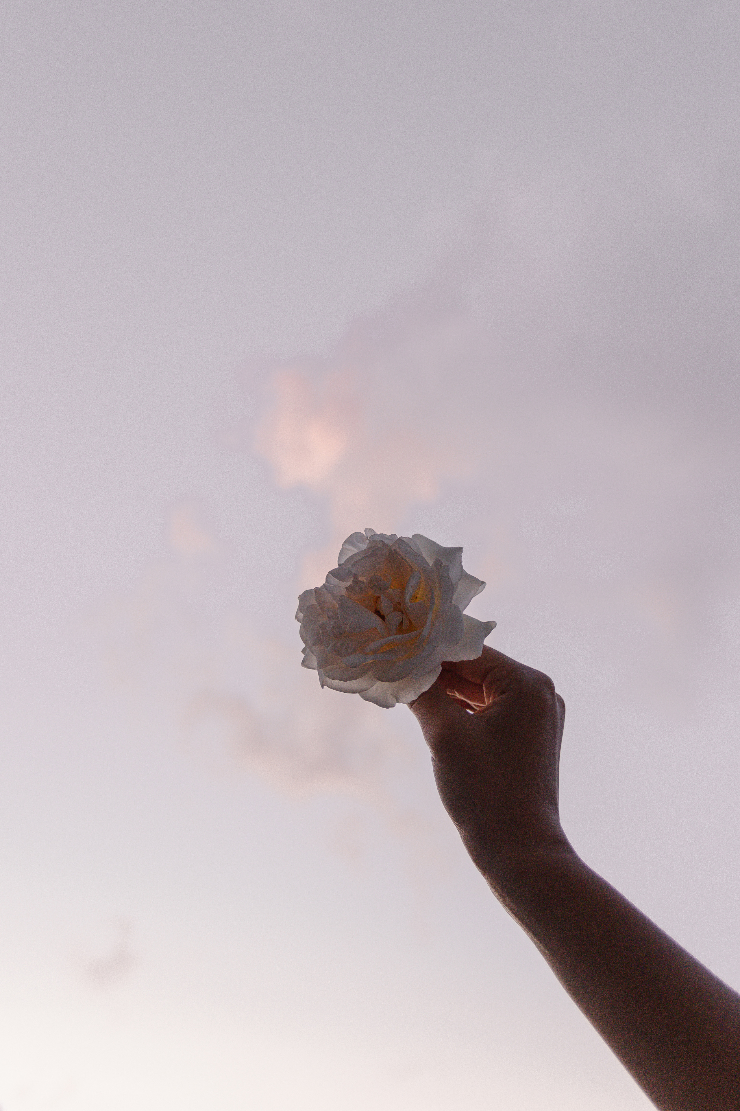 КСЕНИЯ. Свадебный и женский фотограф в Москве