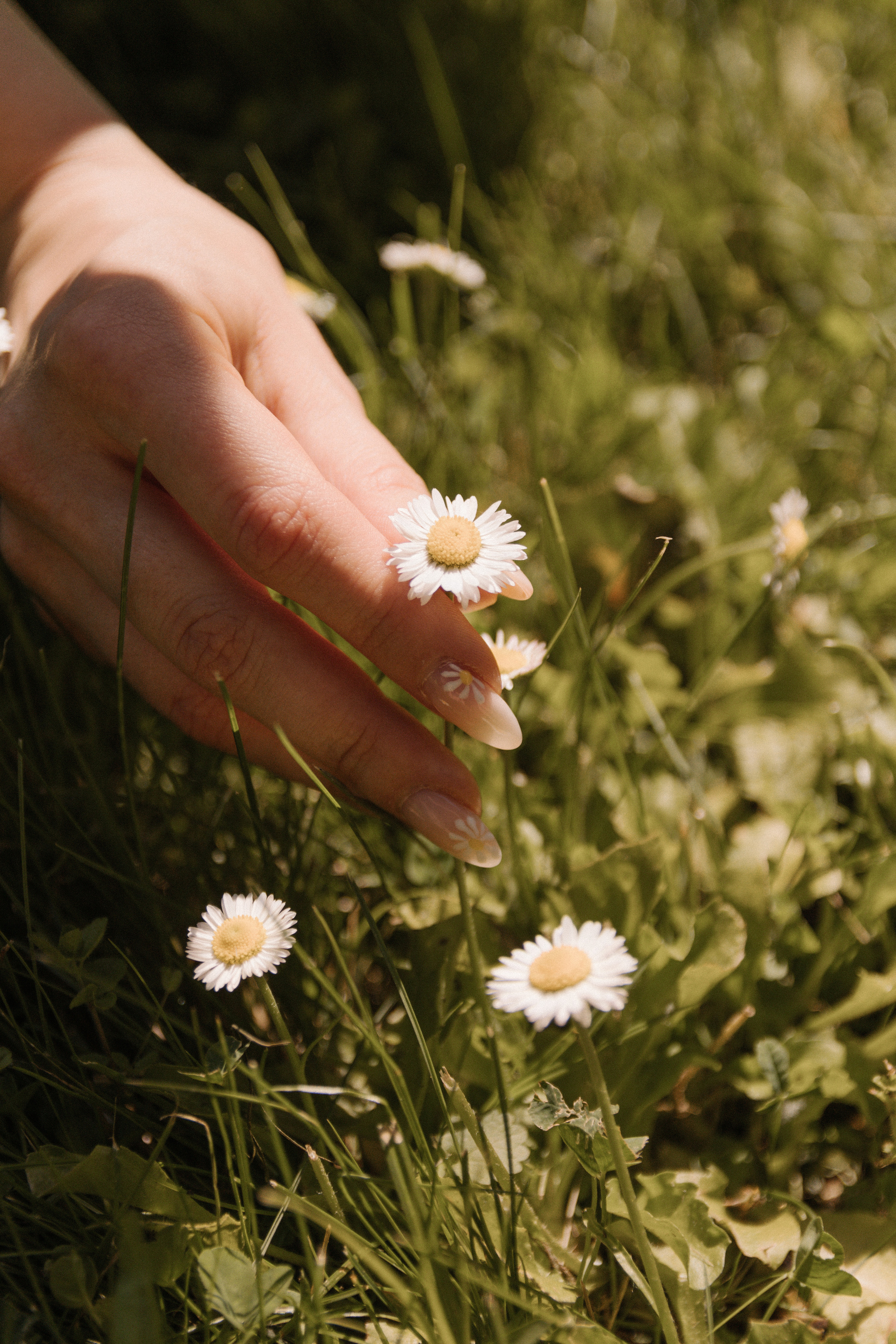 ДАРЬЯ. Свадебный и женский фотограф в Москве