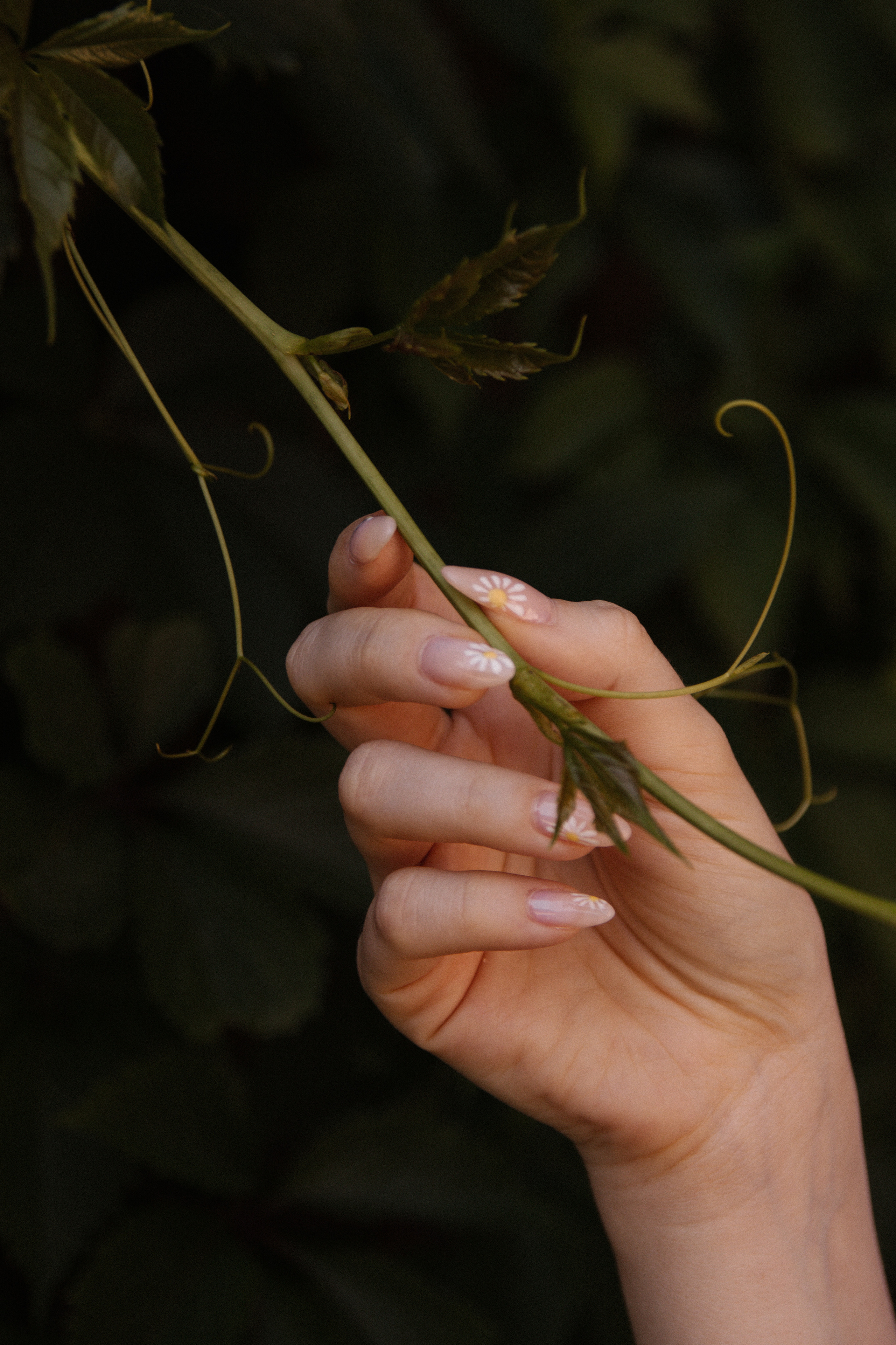 ДАРЬЯ. Свадебный и женский фотограф в Москве