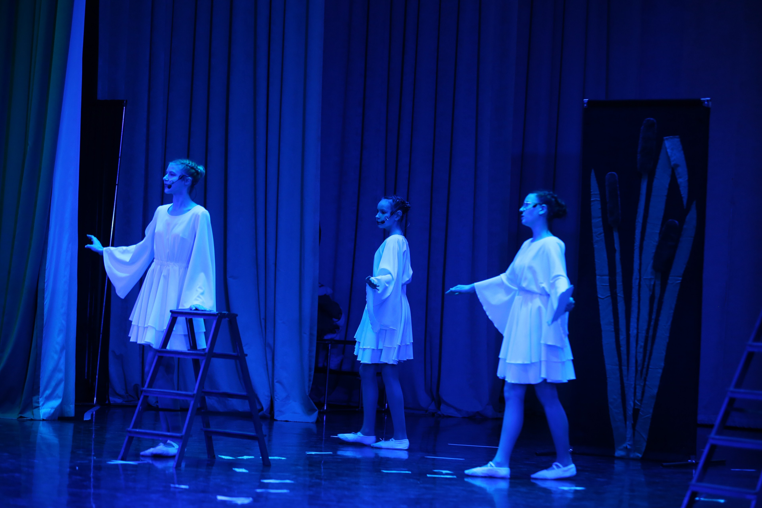 ТС ФАНТАЗИЯ — БЕНЕФИС 25 ЛЕТ. Профессиональный фотограф в Мценске и Орловской области