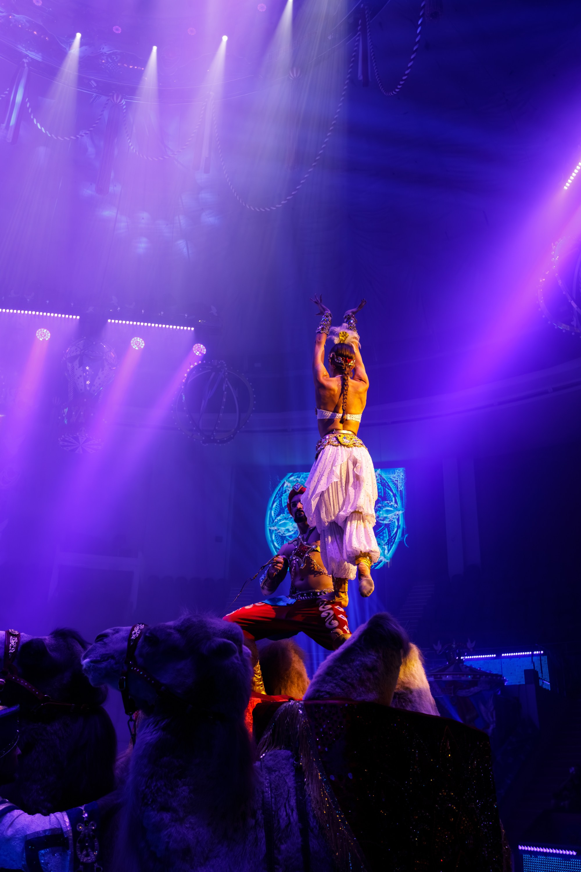 Сочинский росгорцирк Шоу Гии Эрадзе цирк. Профессиональный фотограф в Сочи Виктория Джой. Обучение