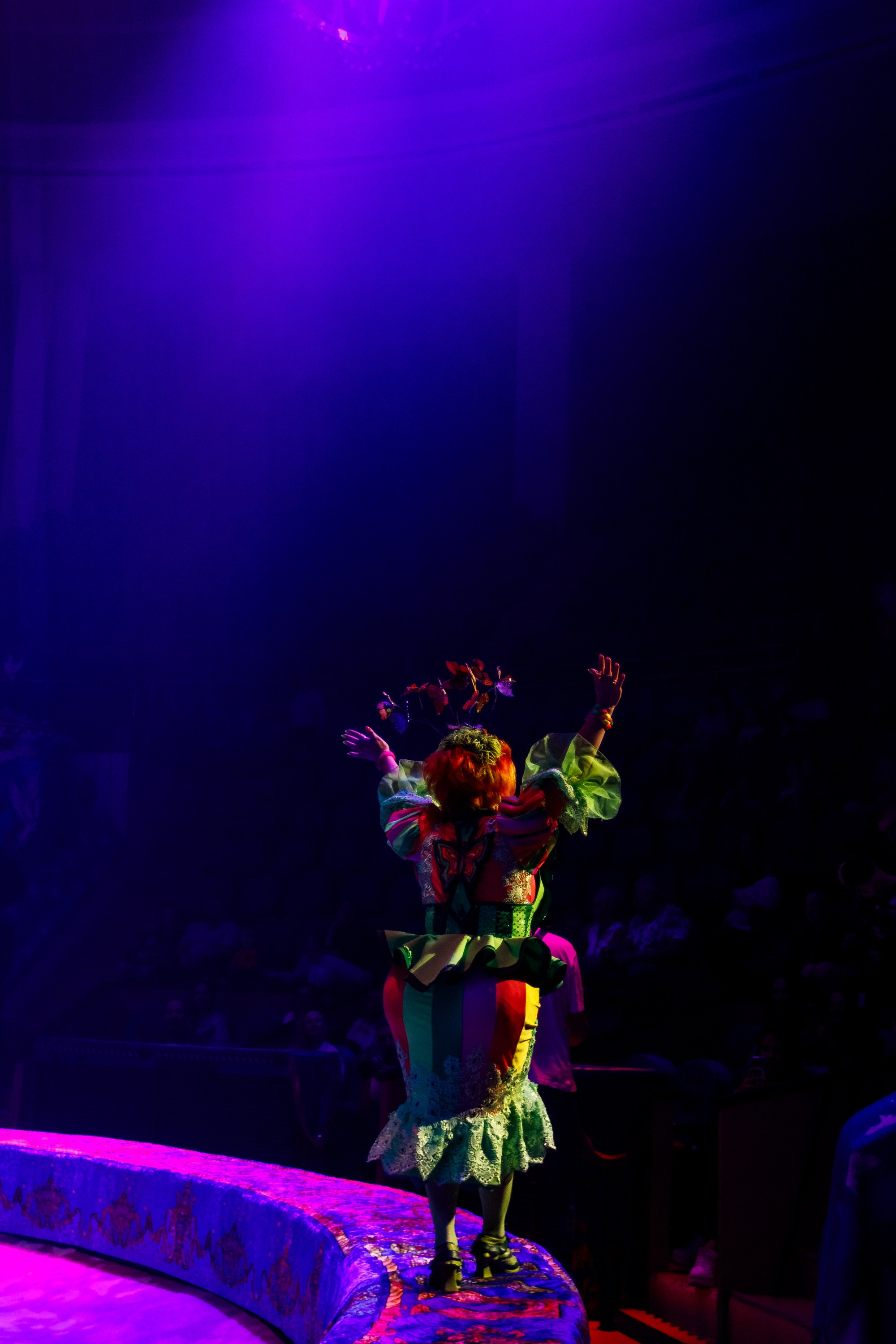 Сочинский росгорцирк Шоу Гии Эрадзе цирк. Профессиональный фотограф в Сочи Виктория Джой. Обучение