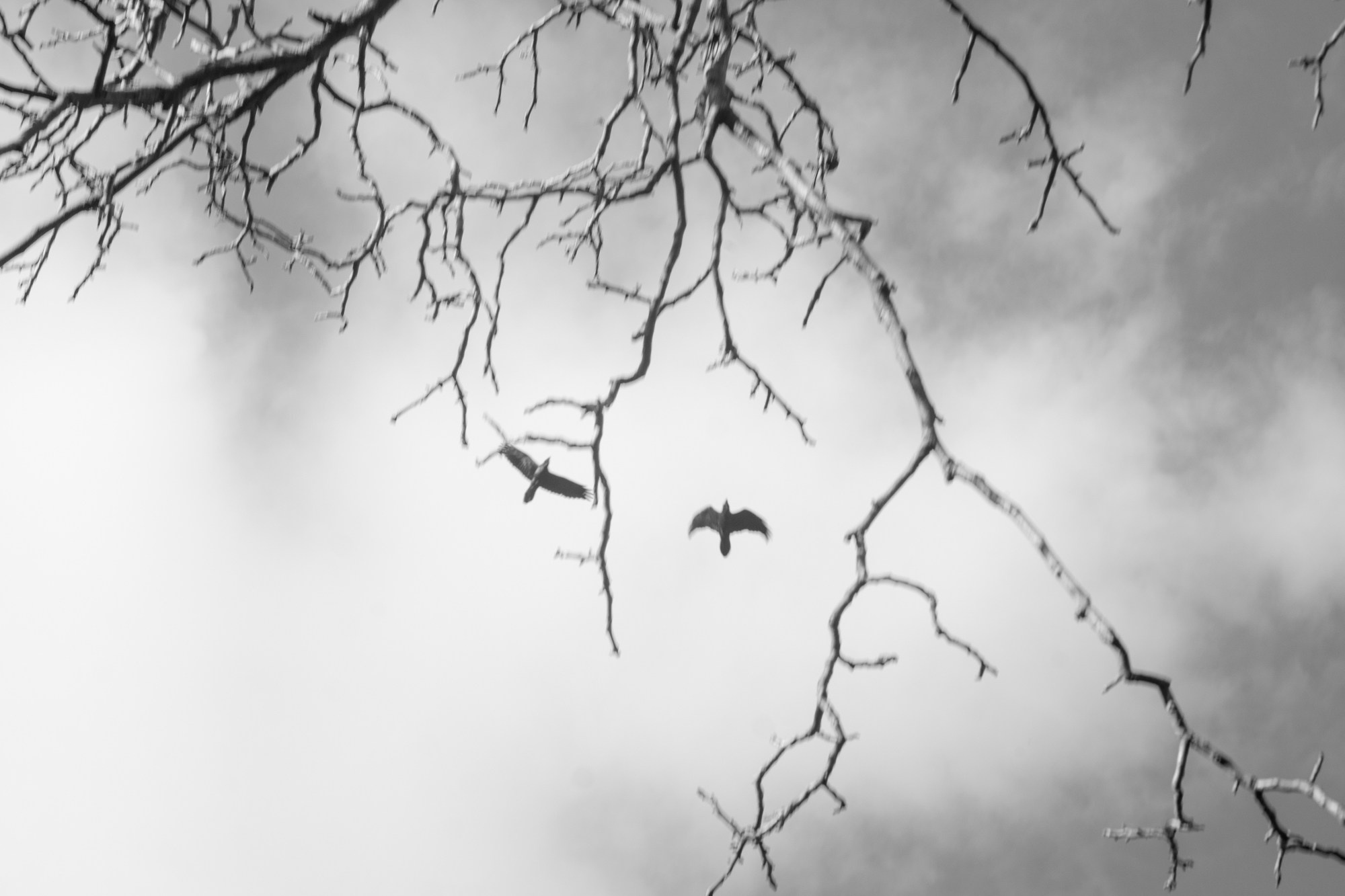 WAITING HALL. Alexander Malchenko