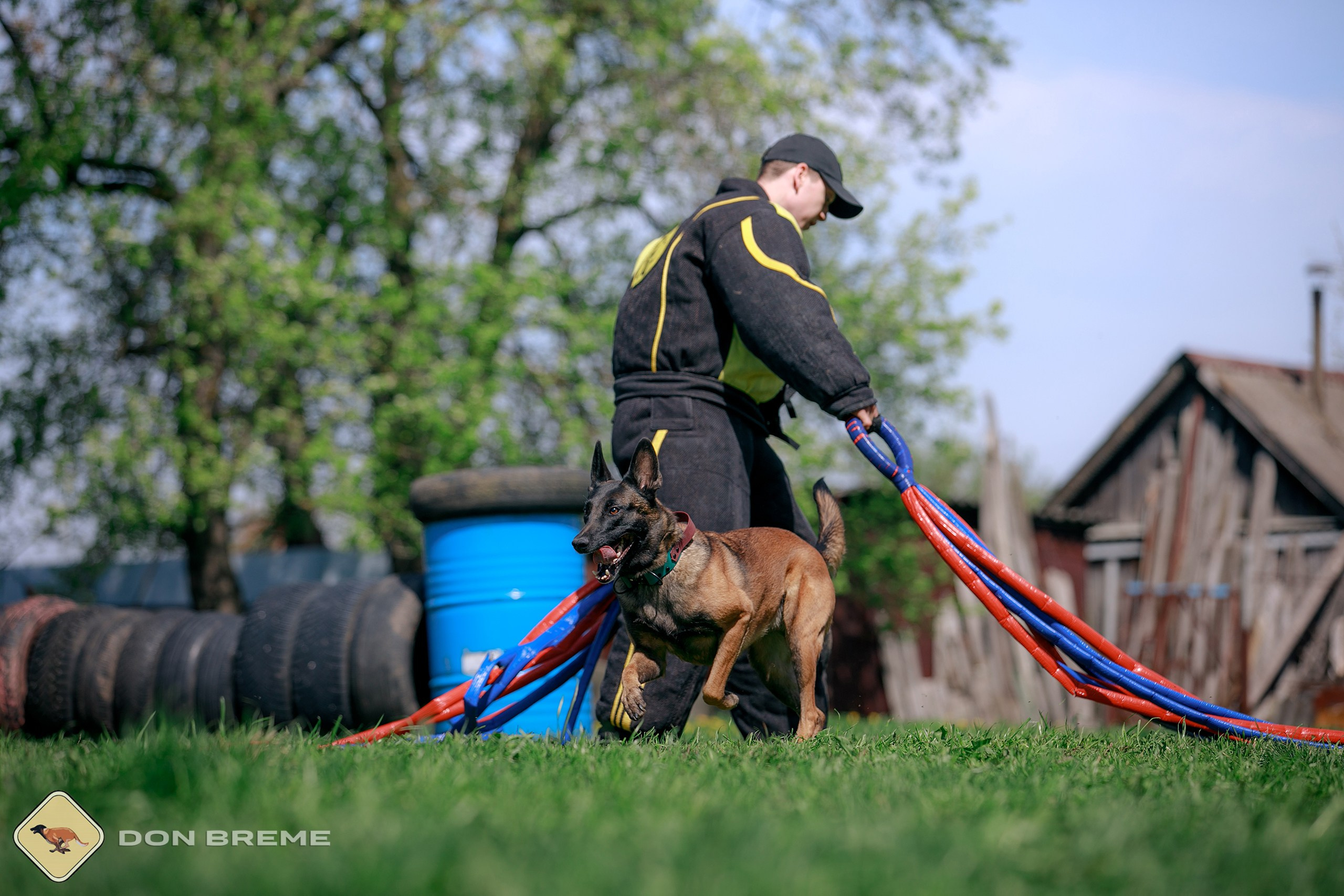 Семинар для фигурантов, день 4. Фотограф-анималист Mary Mart — Москва, Питер