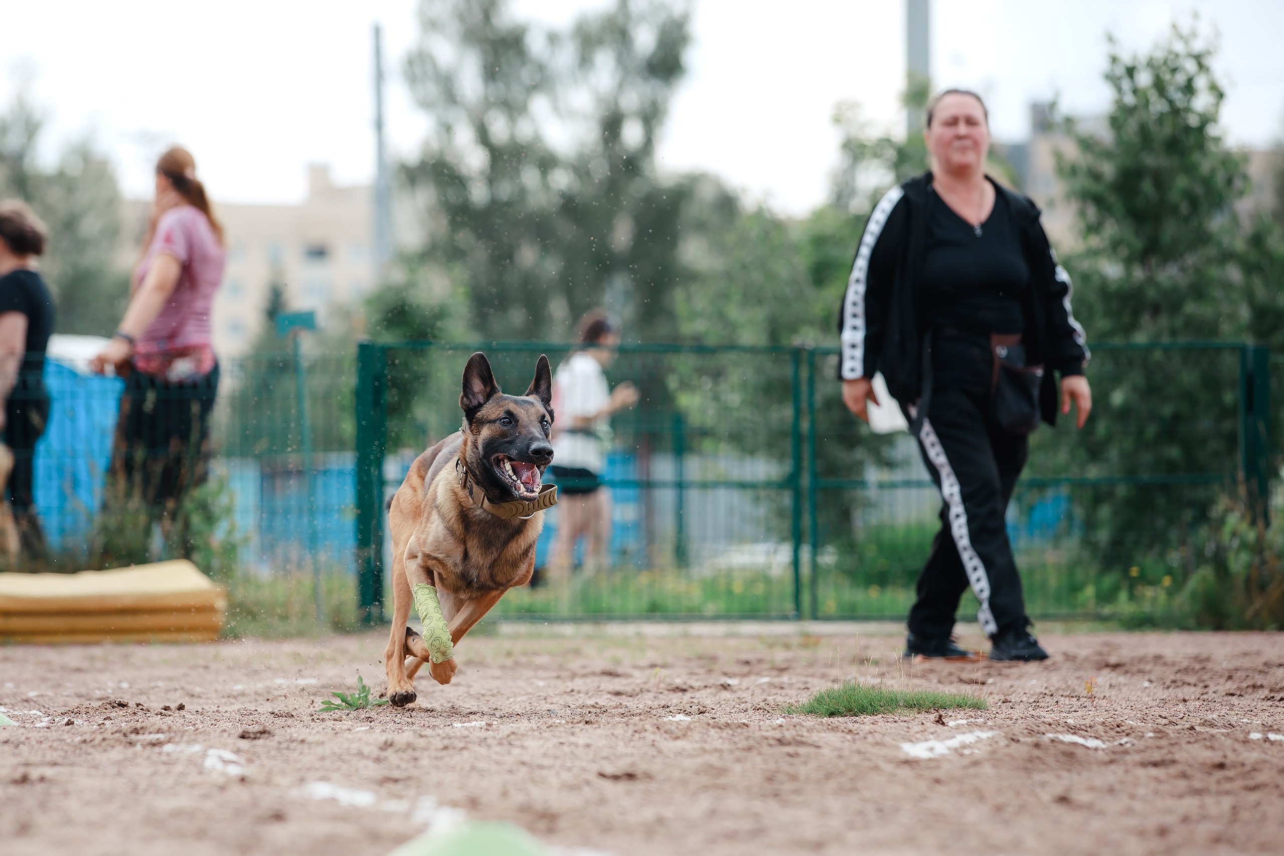 Питч&Гоу + веселые старты. Фотограф-анималист Mary Mart — Москва, Питер