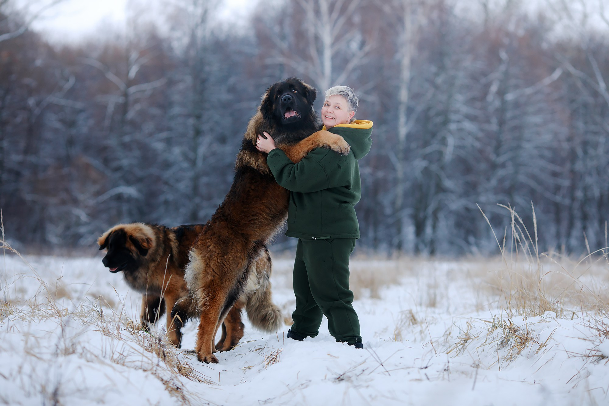Леоненбергеры. Фотограф-анималист Mary Mart — Москва, Питер