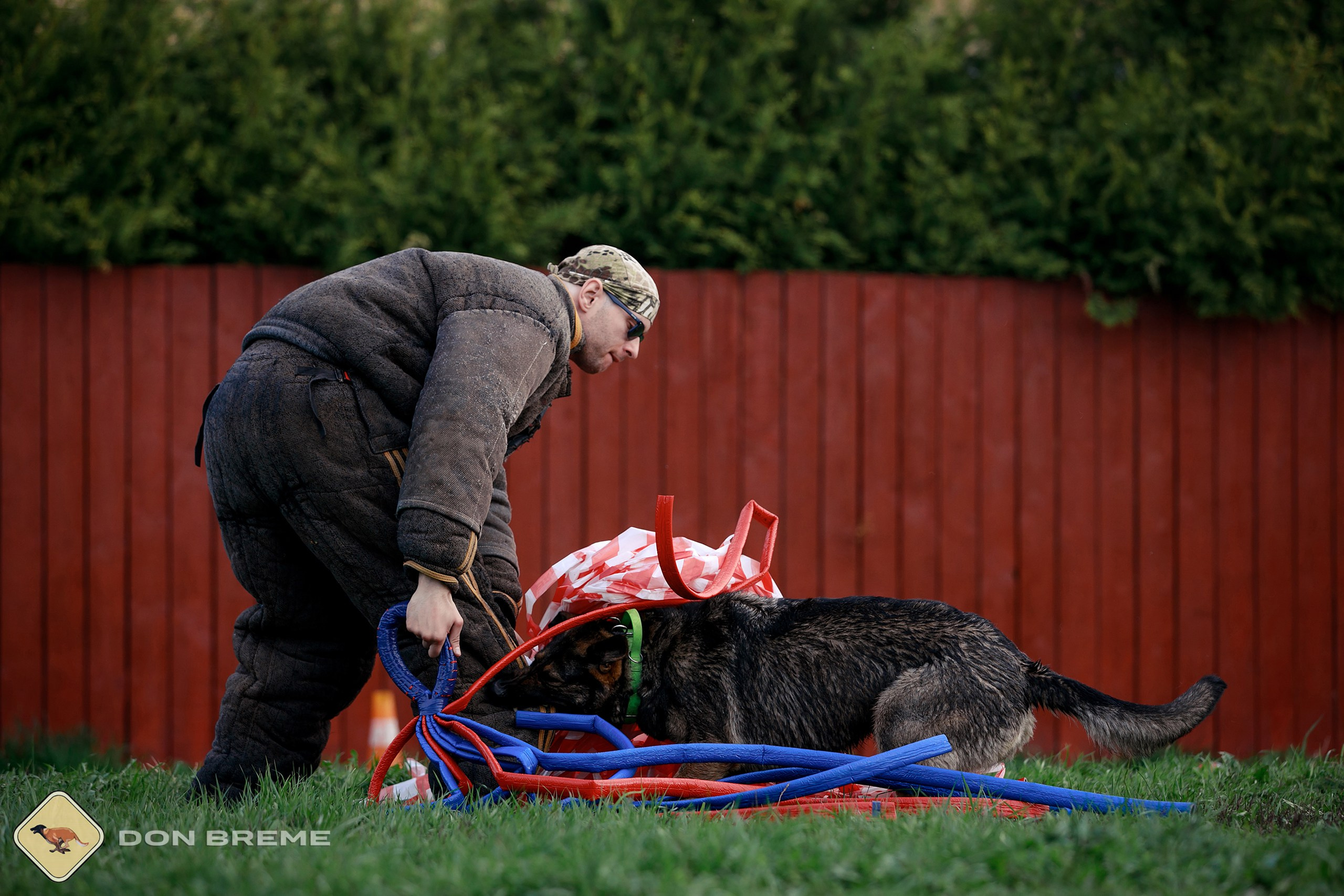 Семинар для фигурантов, день 2. Фотограф-анималист Mary Mart — Москва, Питер