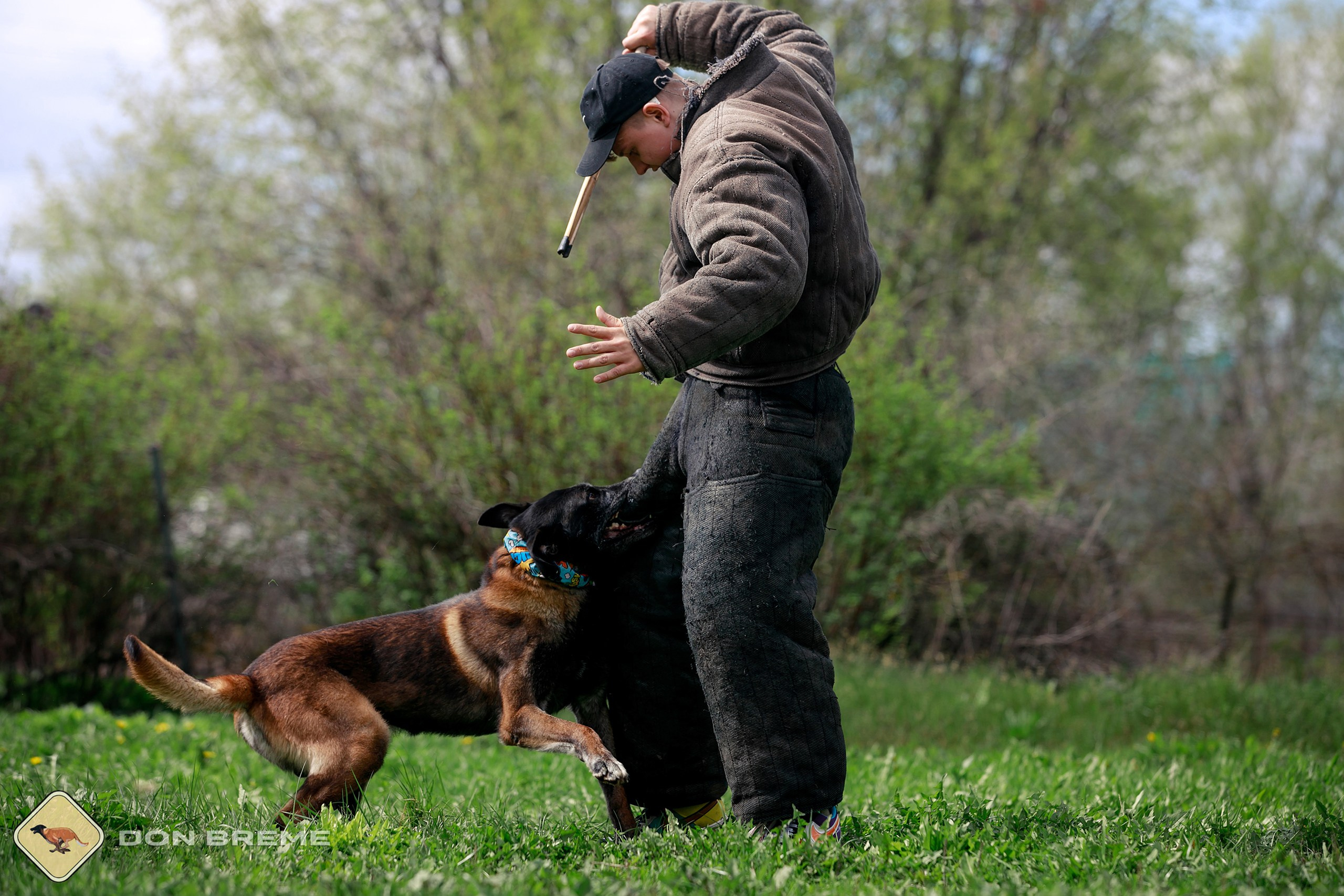 Семинар для фигурантов, день 2. Фотограф-анималист Mary Mart — Москва, Питер