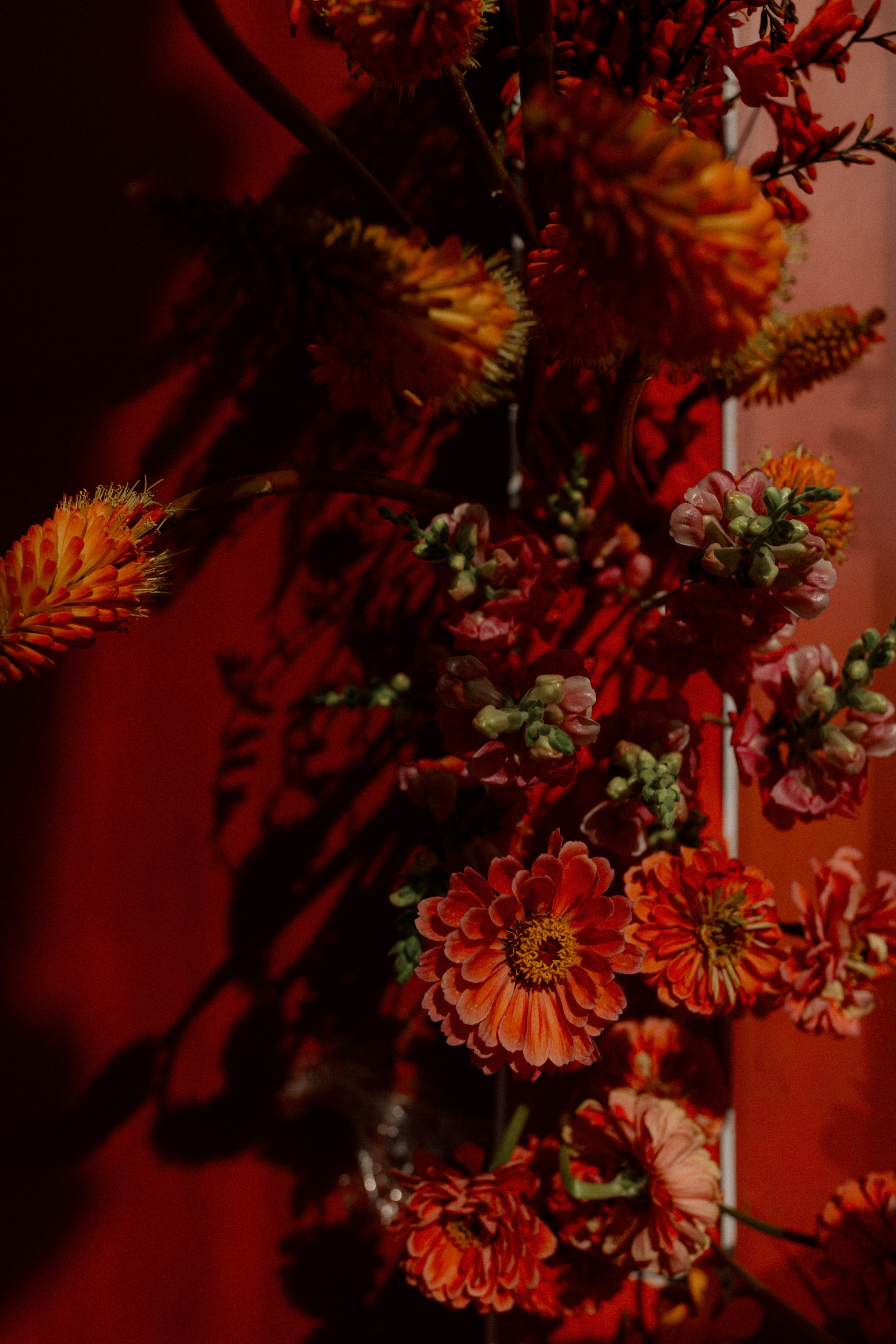 Рождение Венеры. Фотограф Serj Ganso