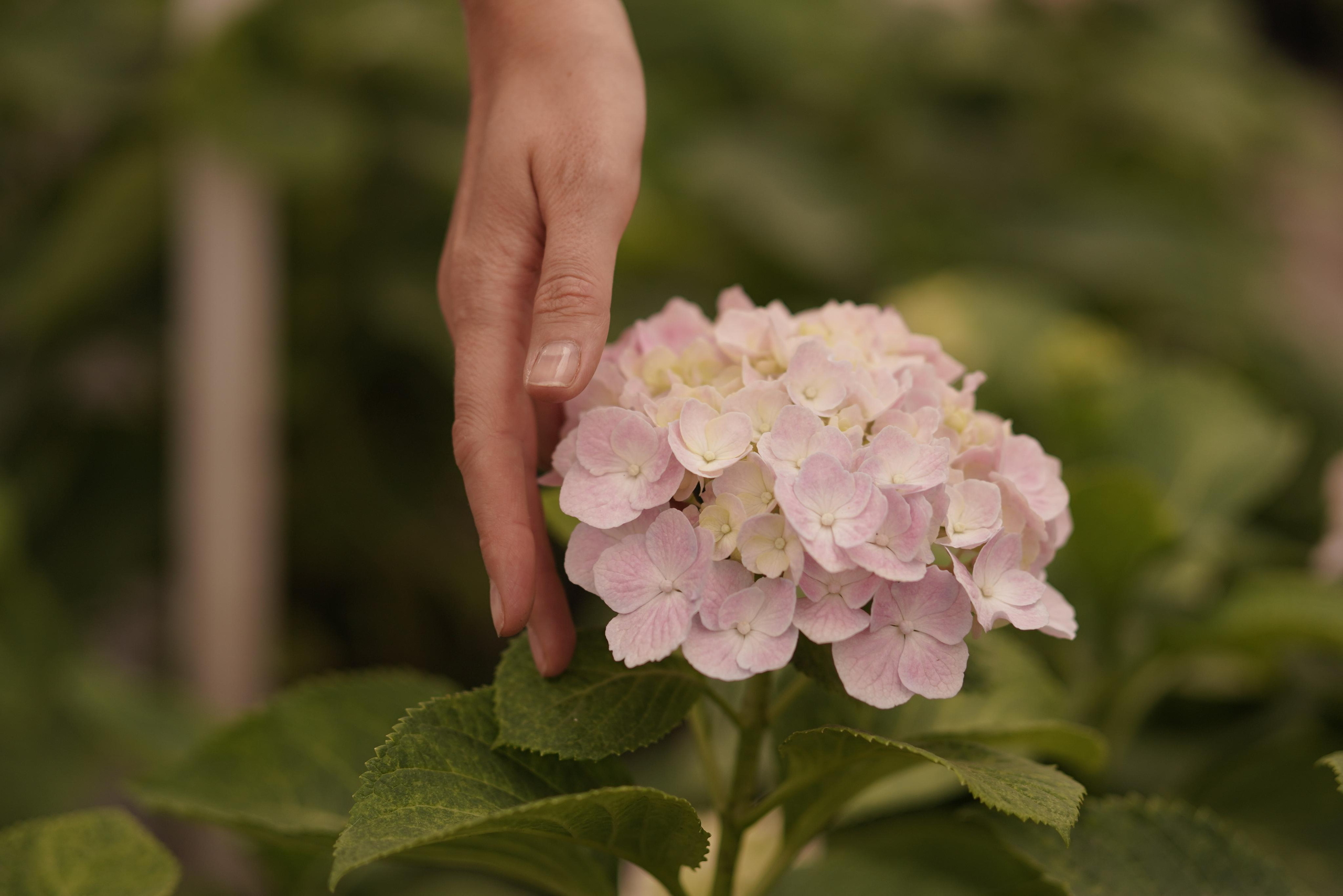 Дима, Маша и Мишутка. Фотограф Алматы, курс по Фотографии в Алматы. Дмитриева Наталья