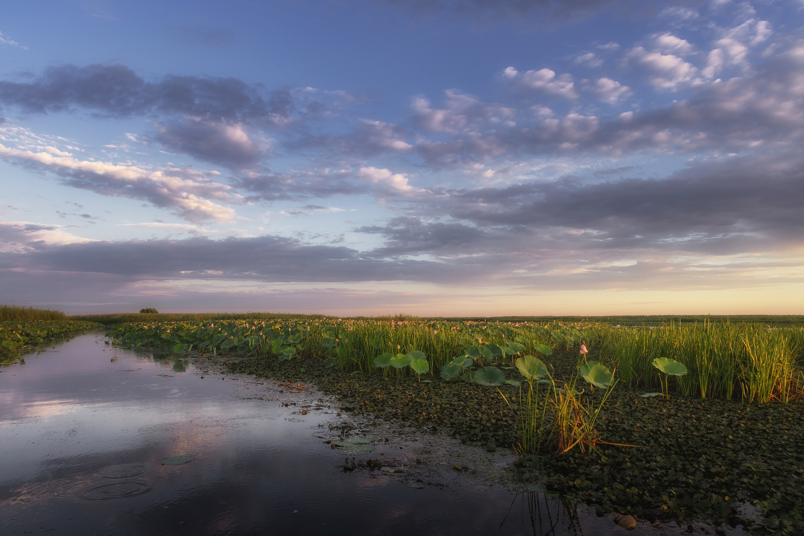Астраханская область 2025 | Фотограф Дмитрий Купрацевич. Дмитрий Купрацевич профессиональный пейзажный и travel-фотограф
