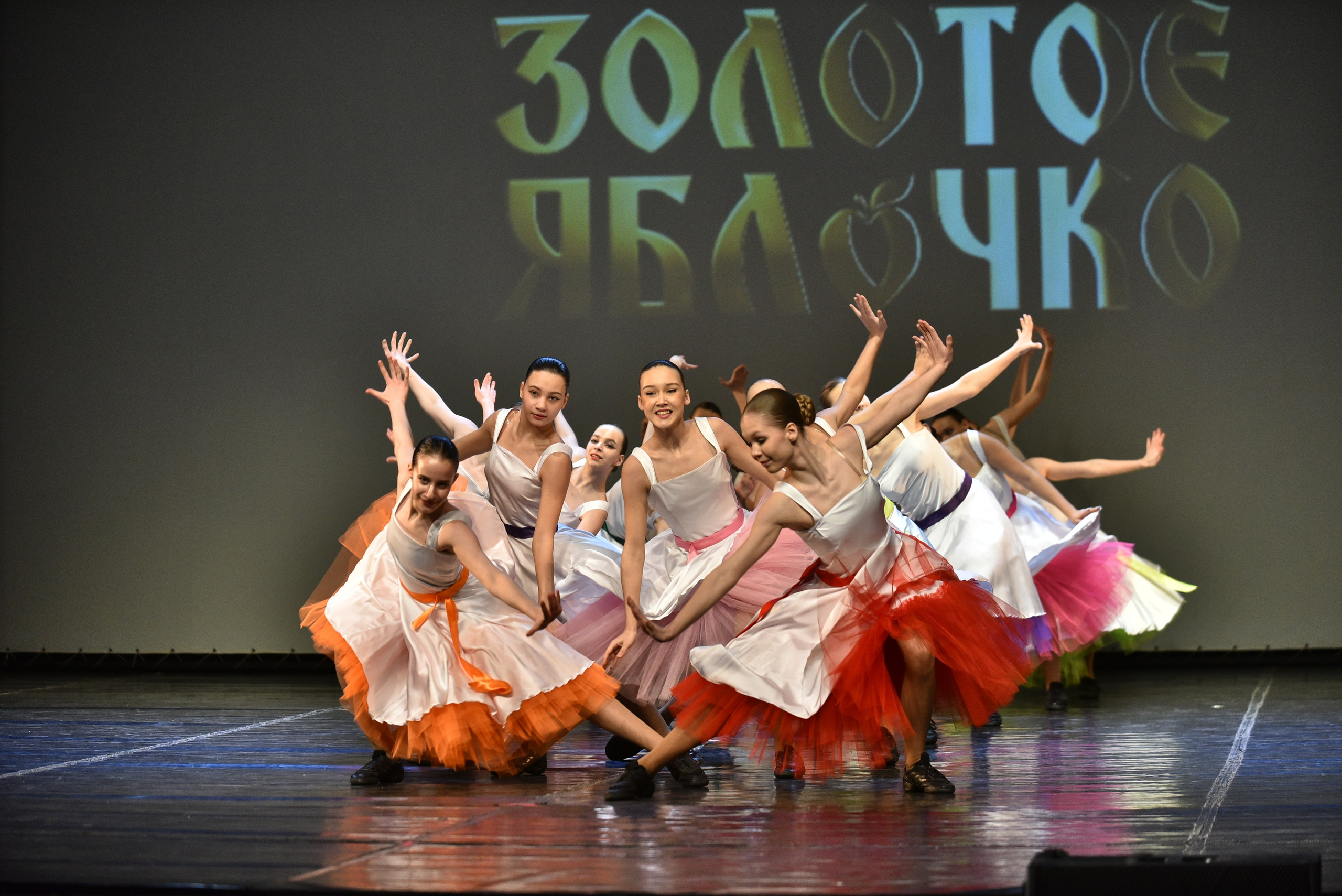 22 февраля, г. Красноярск. Золотое яблочко