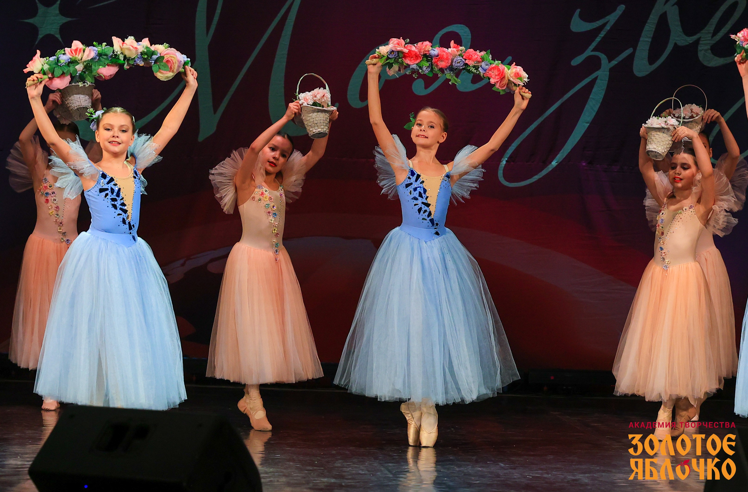 7 февраля, г. Петрозаводск. Золотое яблочко