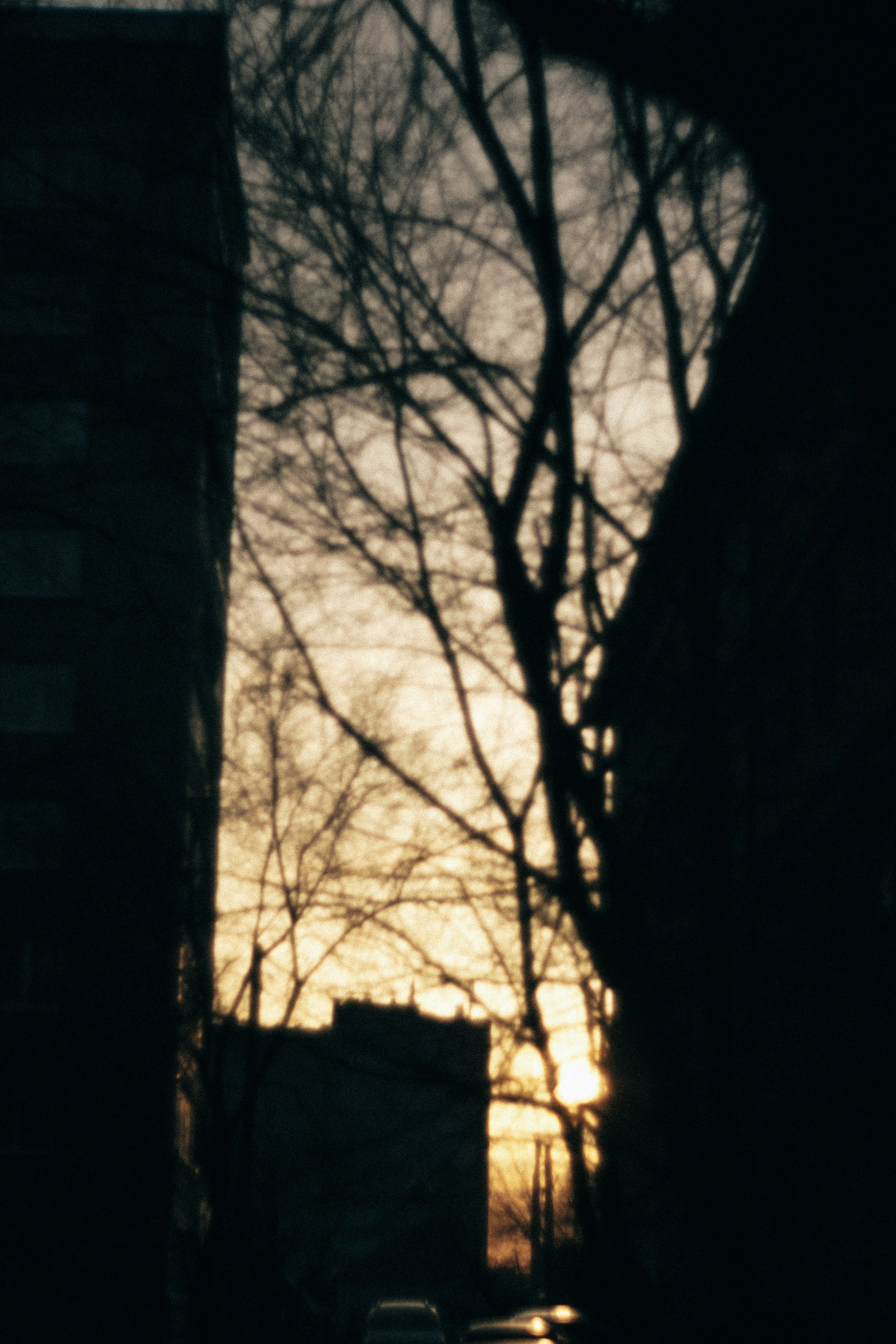 ДК. Свадебный и семейный фотограф Барнаул Рубцовск Бийск Алтайский край