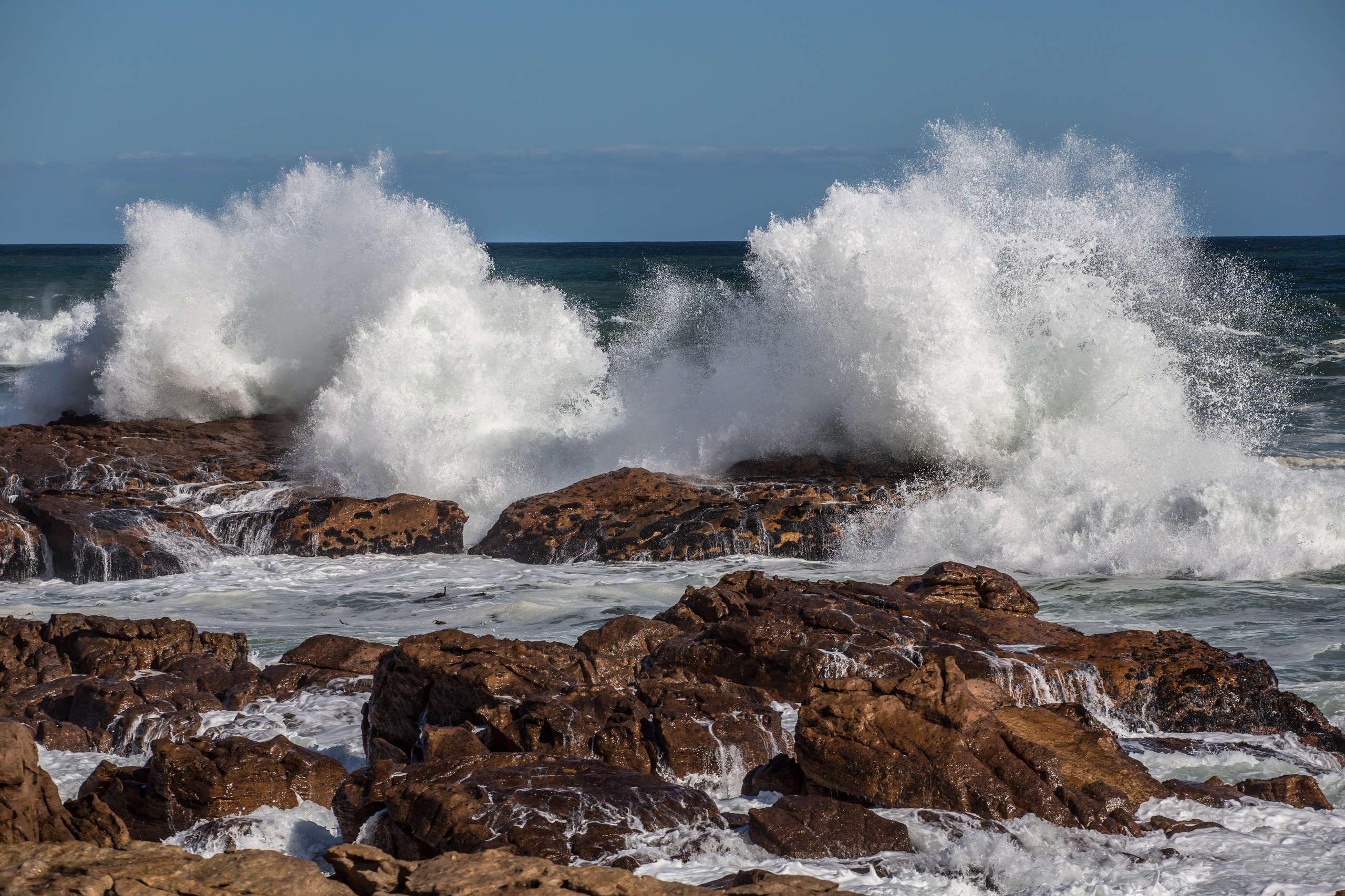 ЮАР. Добродеева Алла фотограф, Москва