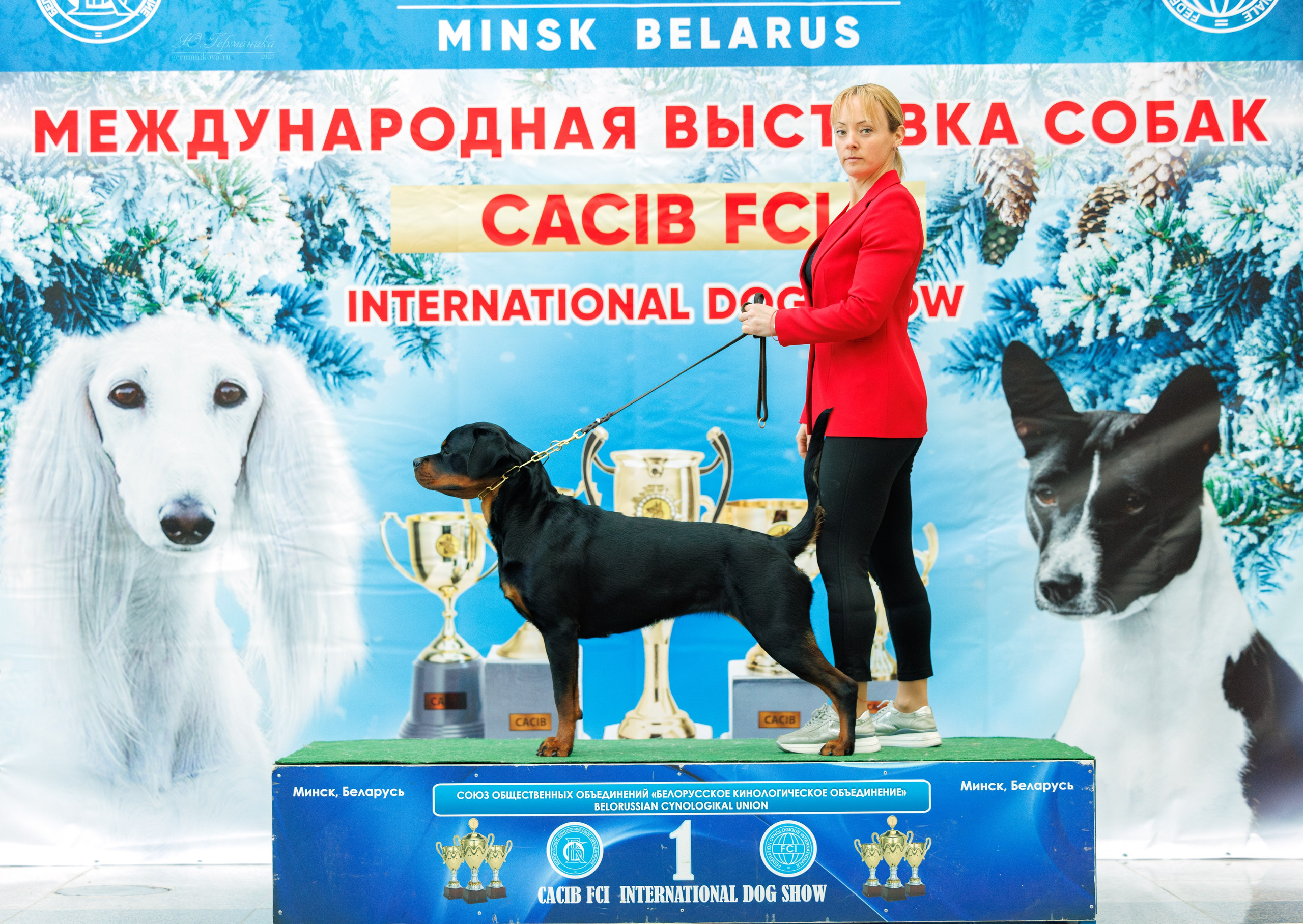 Минск 23.11.2024. Фотограф-анималист Юлия Германика