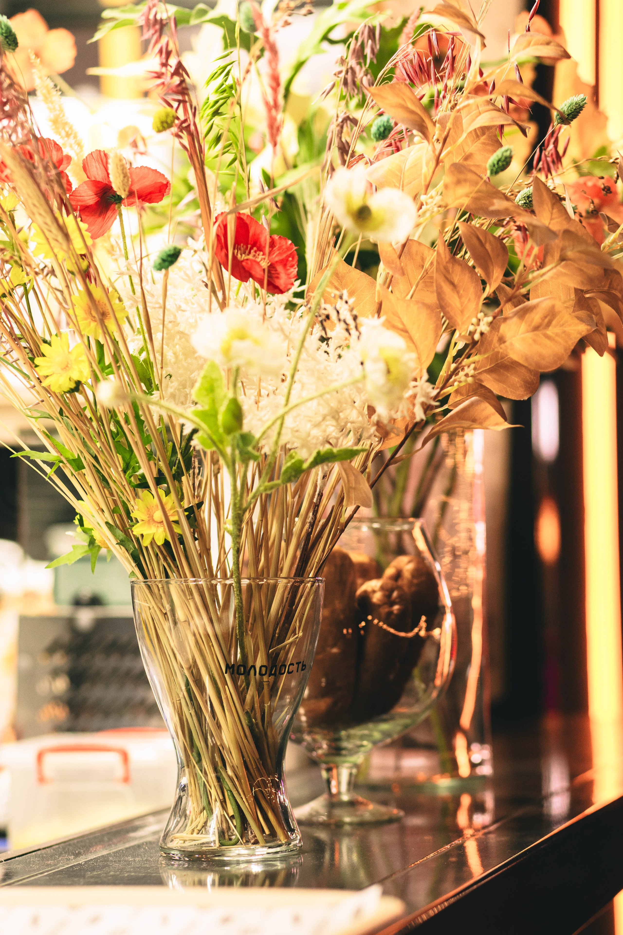 Pet-Party + Live-music |Парк Культуры. Фотограф в Ставрополе Алина Клочкова