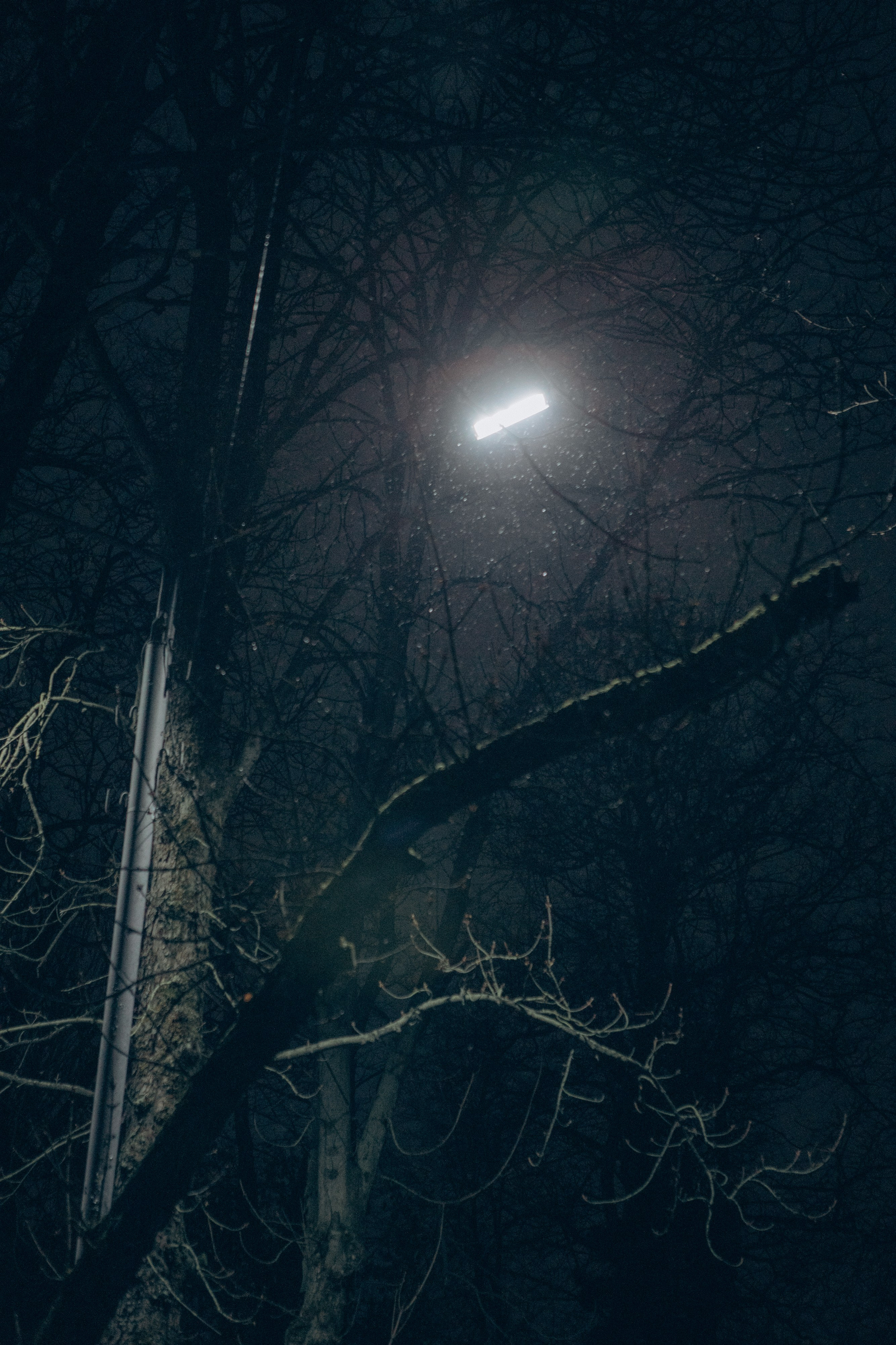 Рождение Софьи. Семейный фотограф и фотограф на роды в Ростове-на-Дону Мухина Виктория