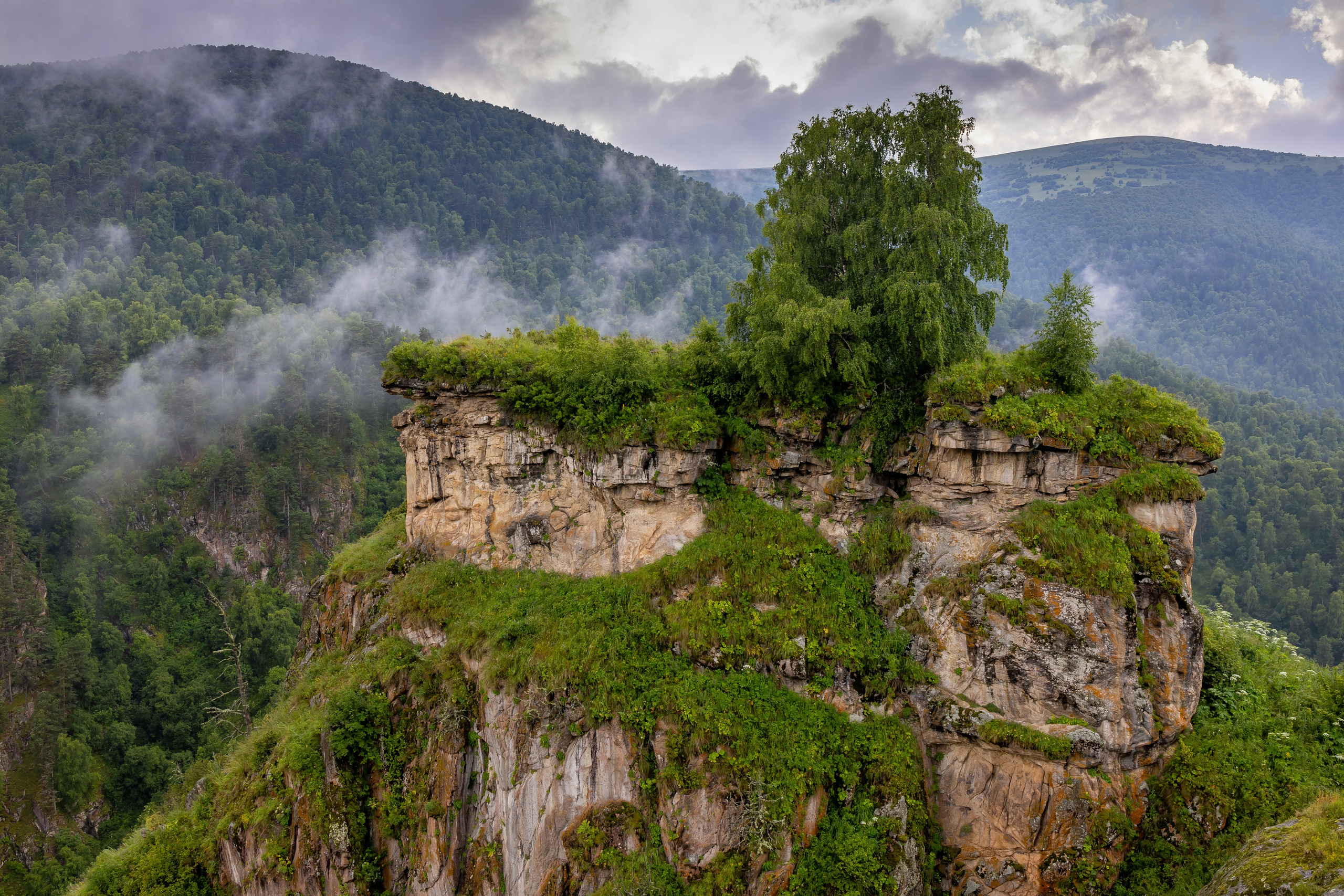 Макс По — фото и видео съемки любого формата