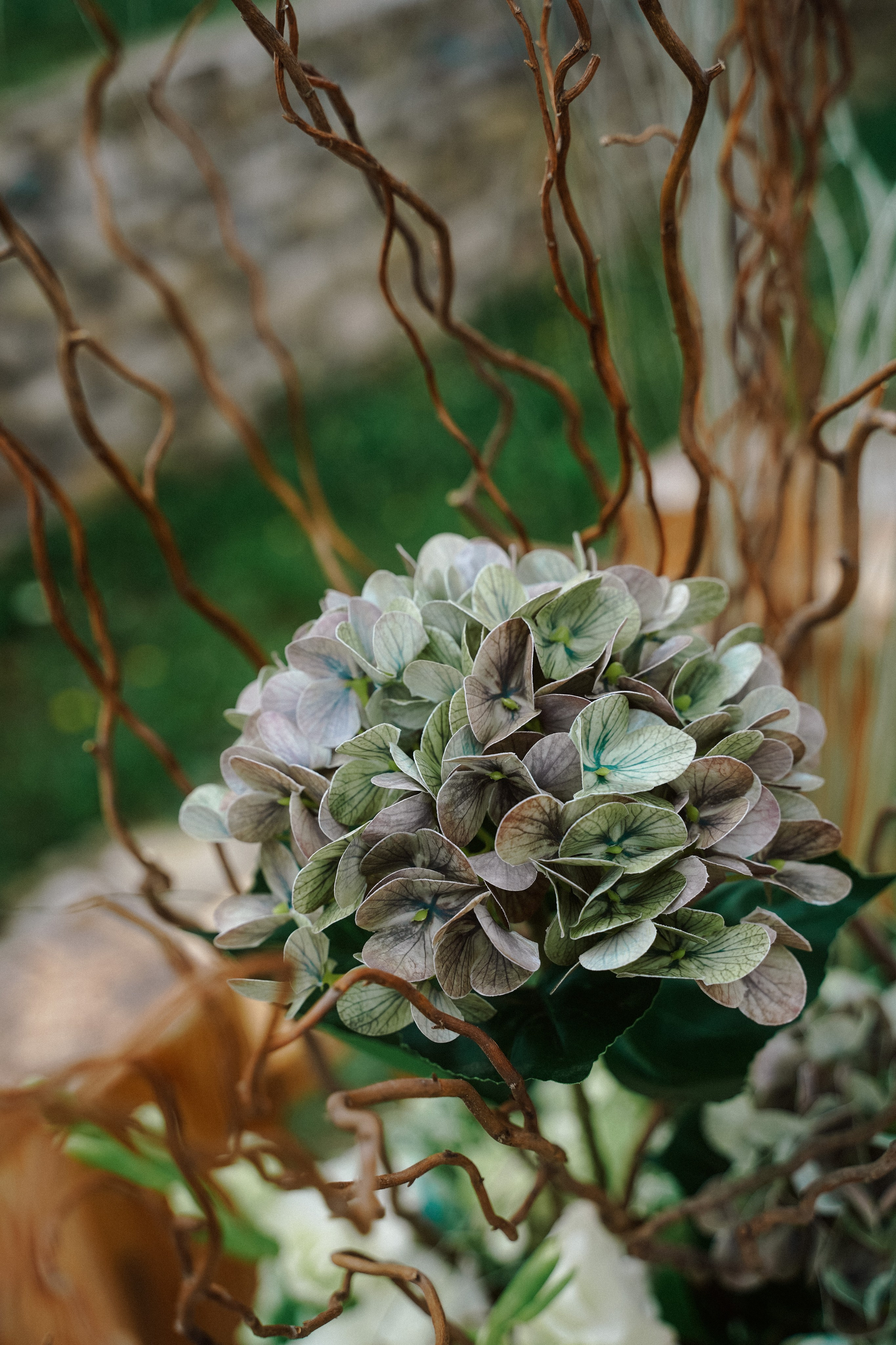 Тбилиси-на-Дону. Фотограф в Ростове-на-Дону и Краснодаре Роман Кудрявцев