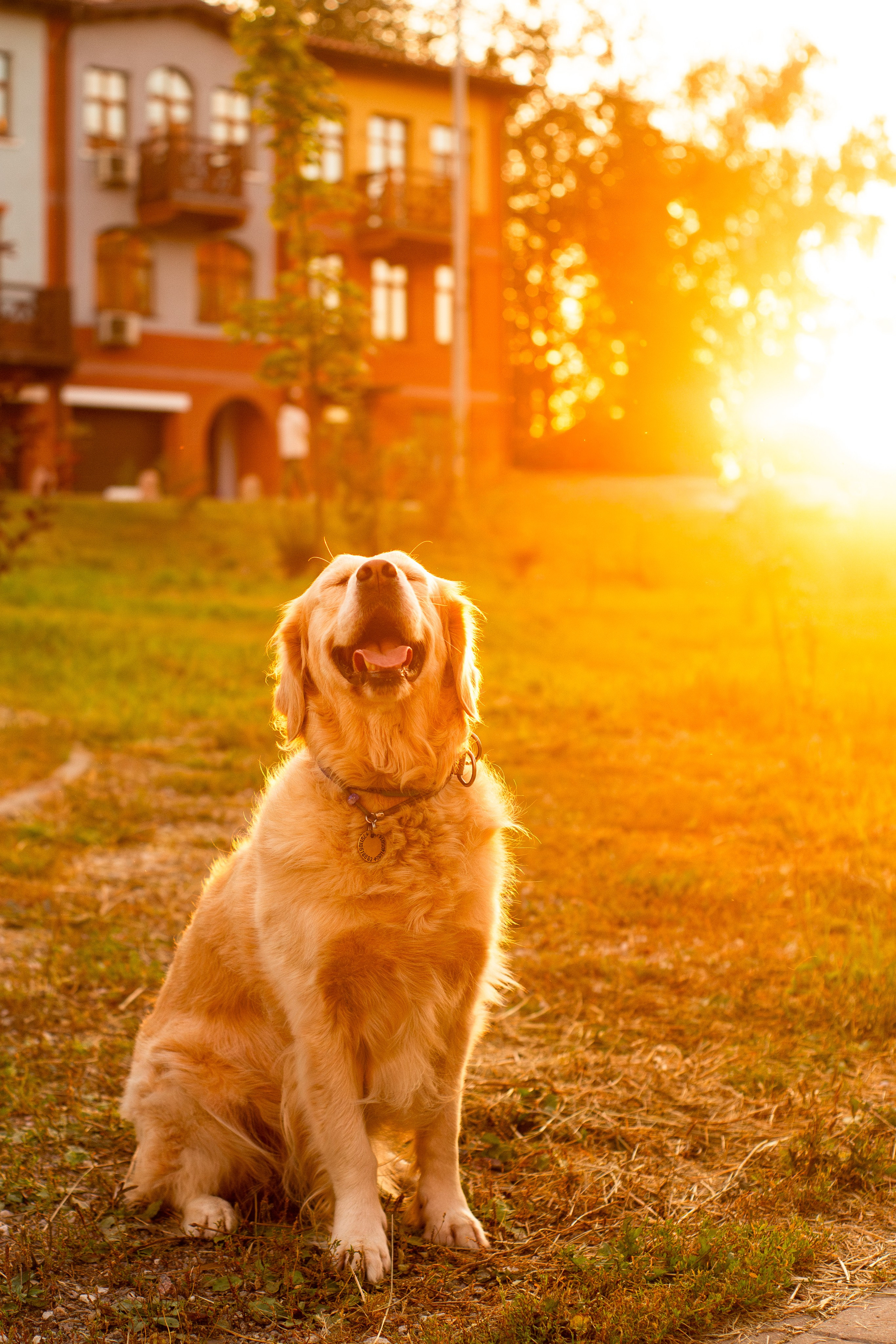 Юля и Мэй. Фотограф-анималист Мария Баркевич | Москва