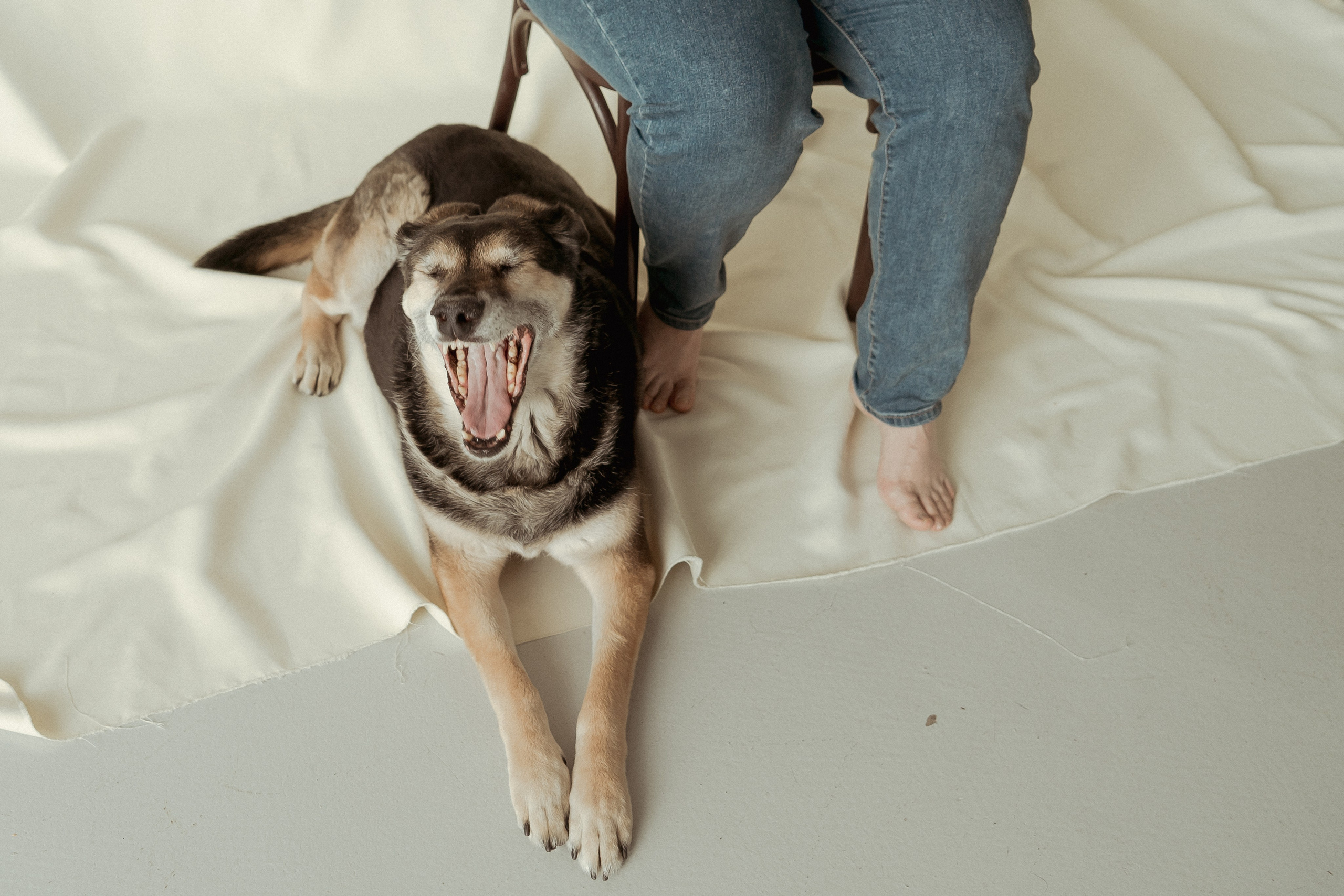 Марина и Жужа. Портретный и семейный фотограф Ксения Казанцева