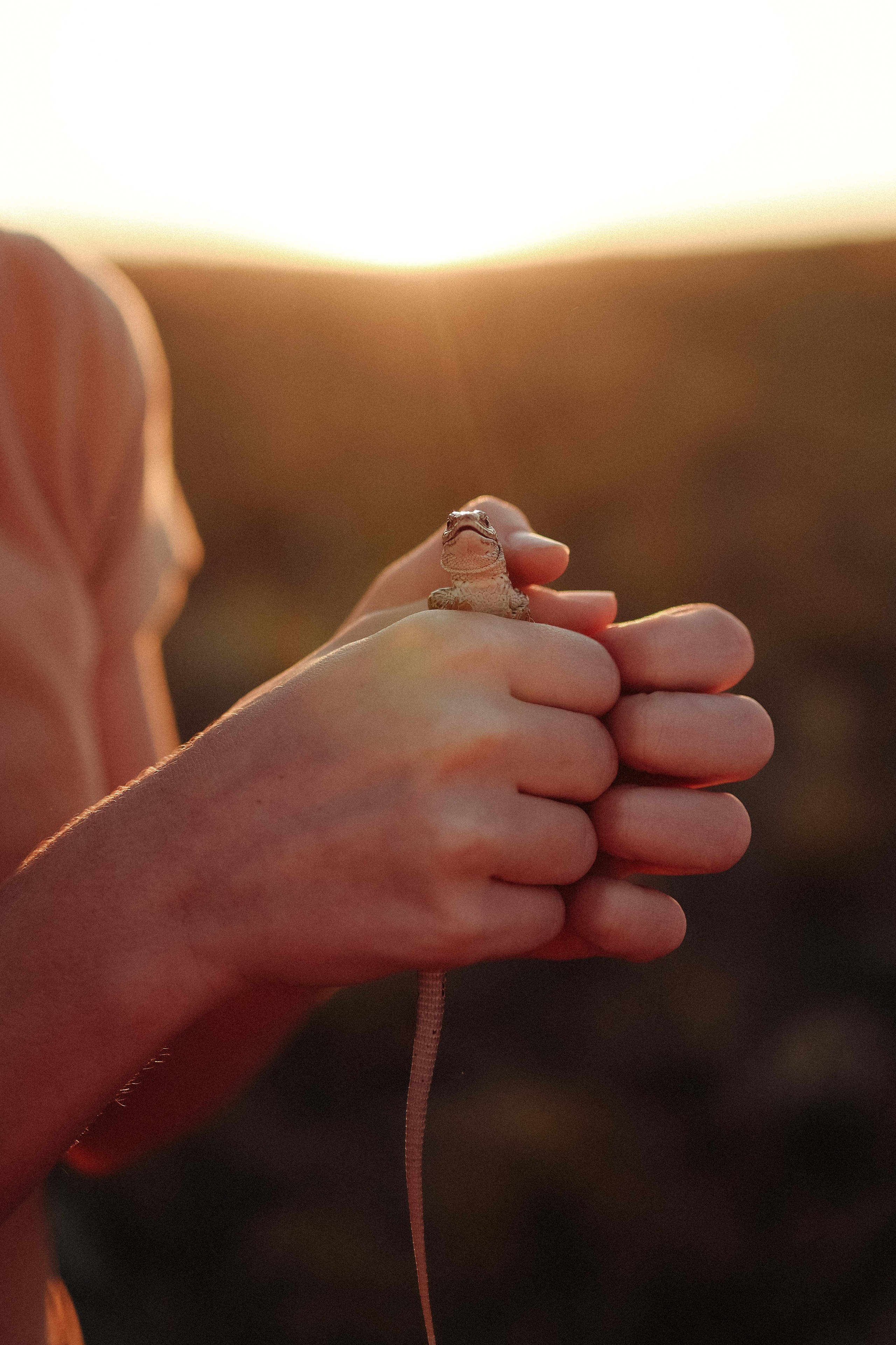 Лена, Ксюша, Максим и Костя. Свадебный и семейный фотограф Волгоград Наталья Алексеева