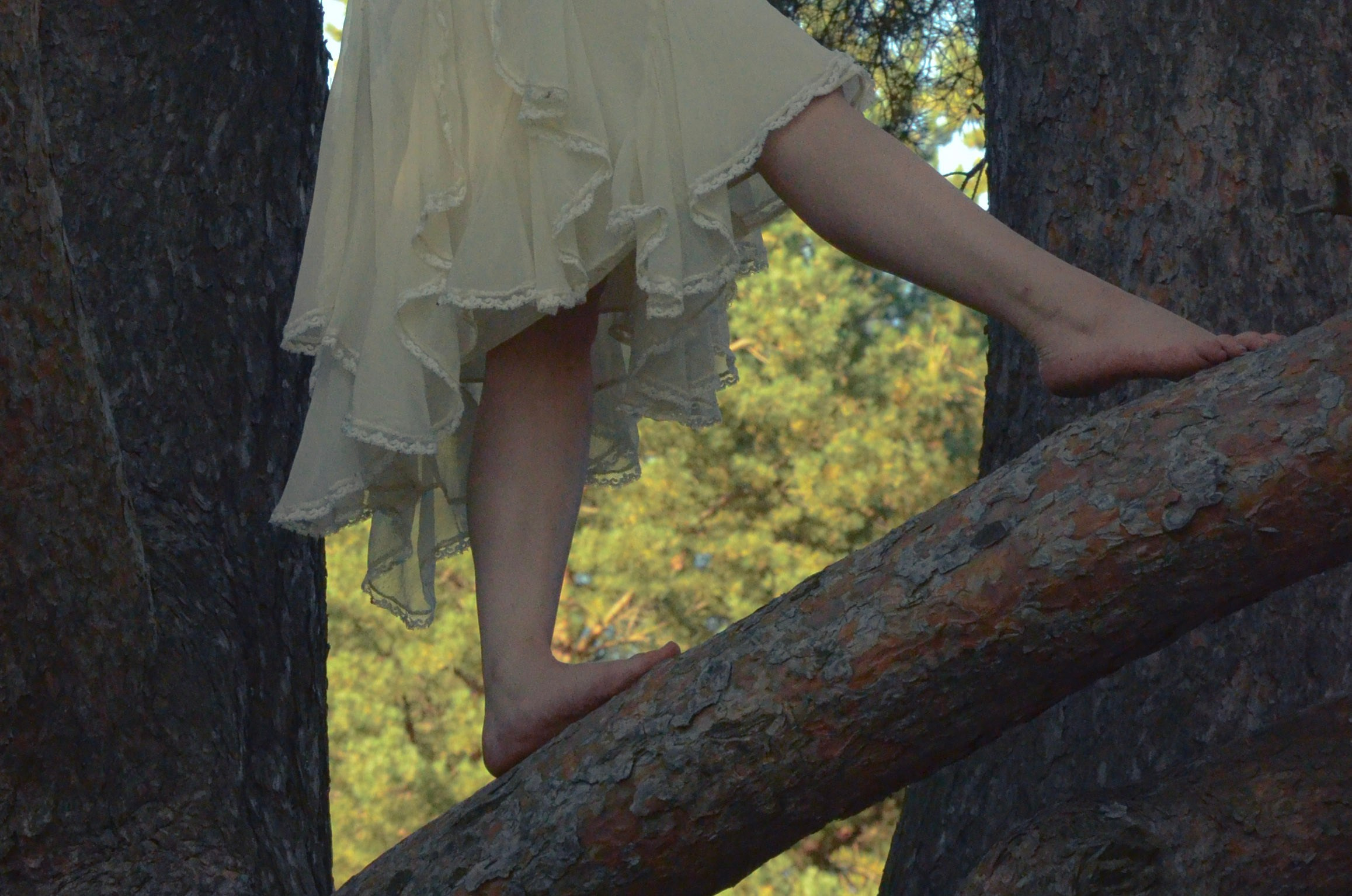 Лесное. Фотограф СПб | Лесная фотосессия