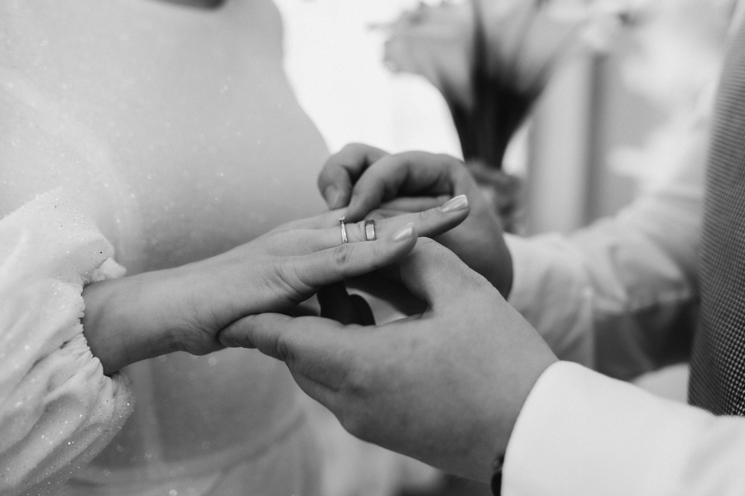 Загс+Оранжерея (камерная свадьба). Фотограф ПИТЕР СПБ Надежда Баранова