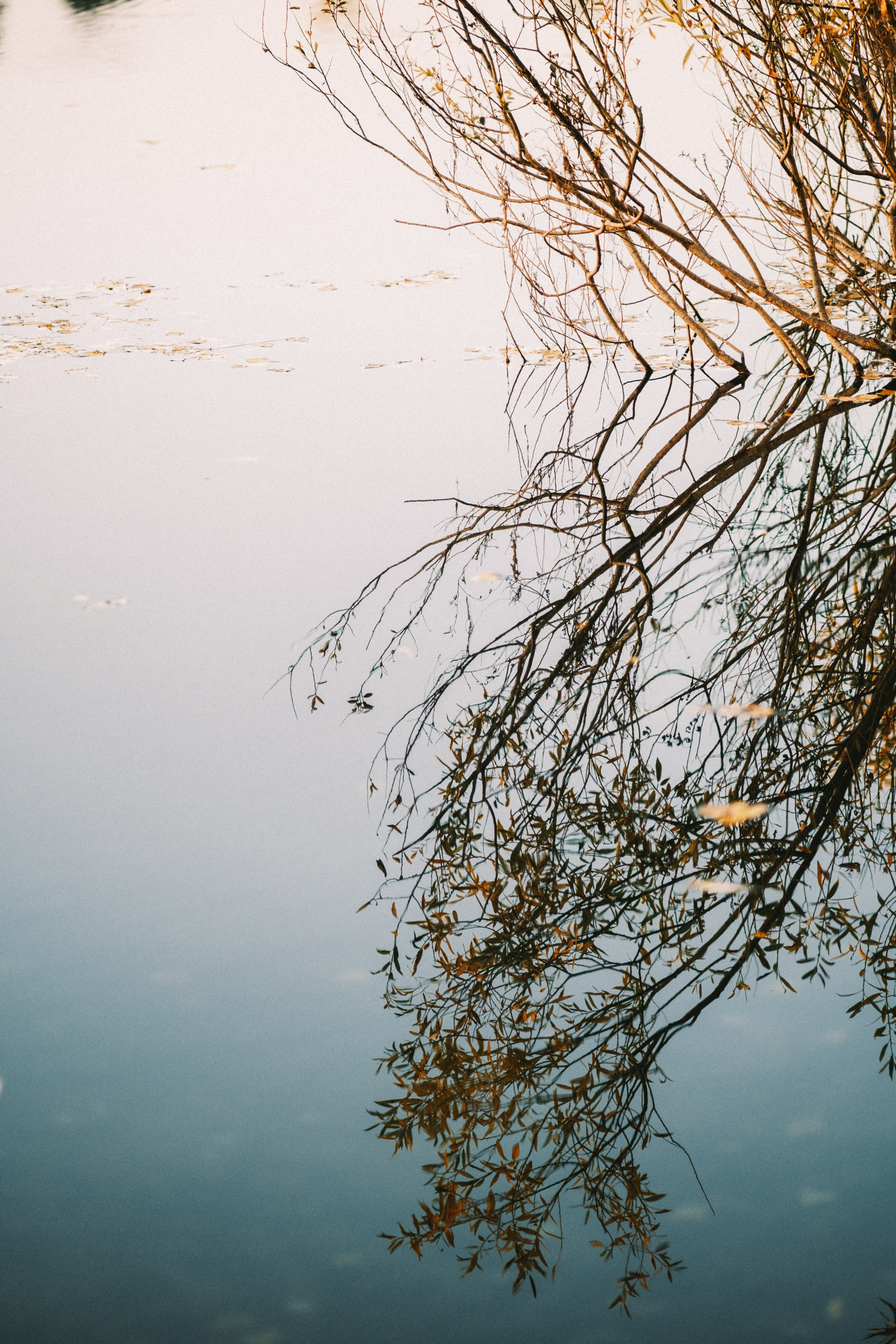 Осень и гребной канал. Свадебный и семейный фотограф Барнаул Рубцовск Бийск Алтайский край