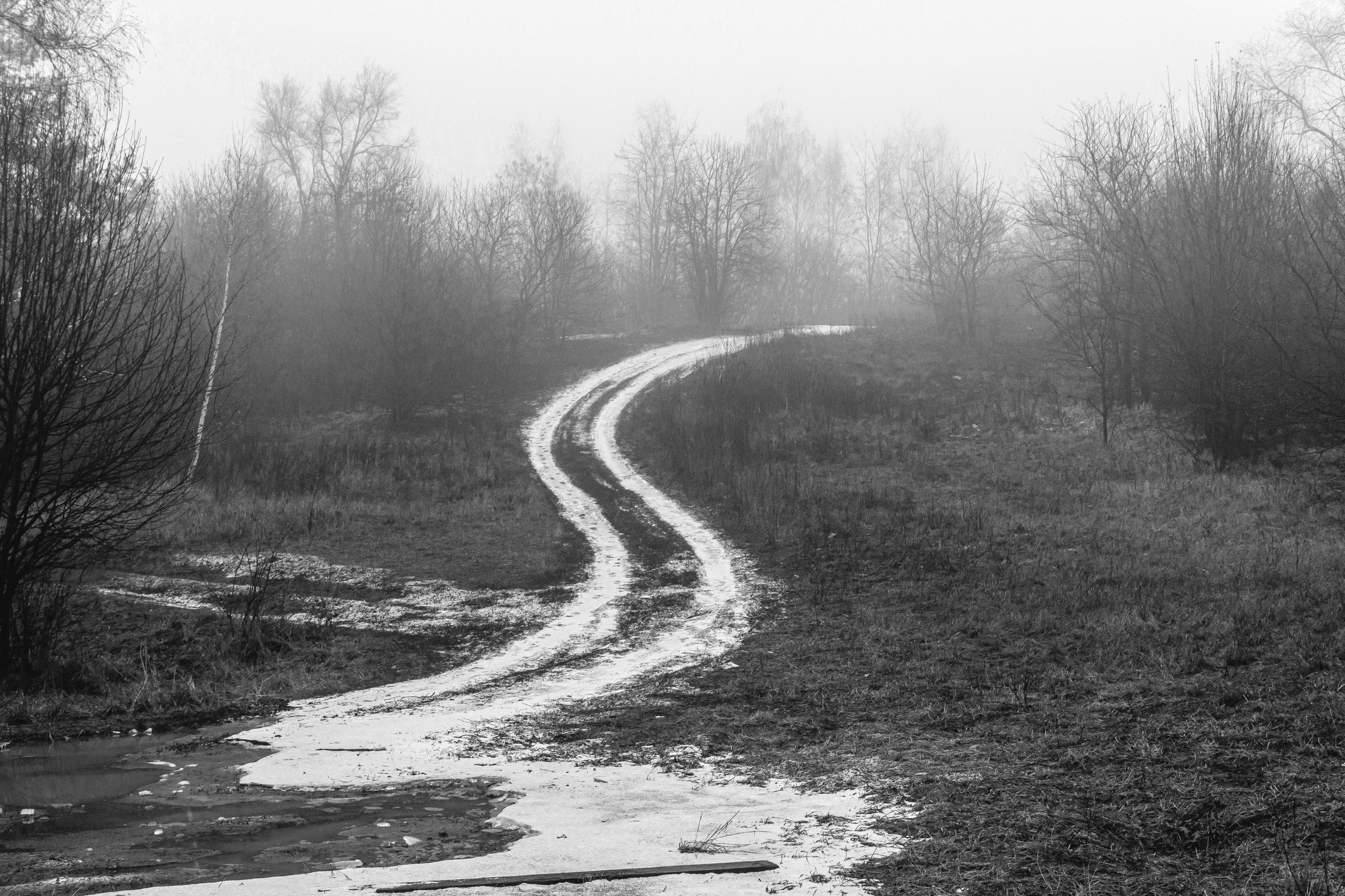 Социум. Фотография — моя жизнь