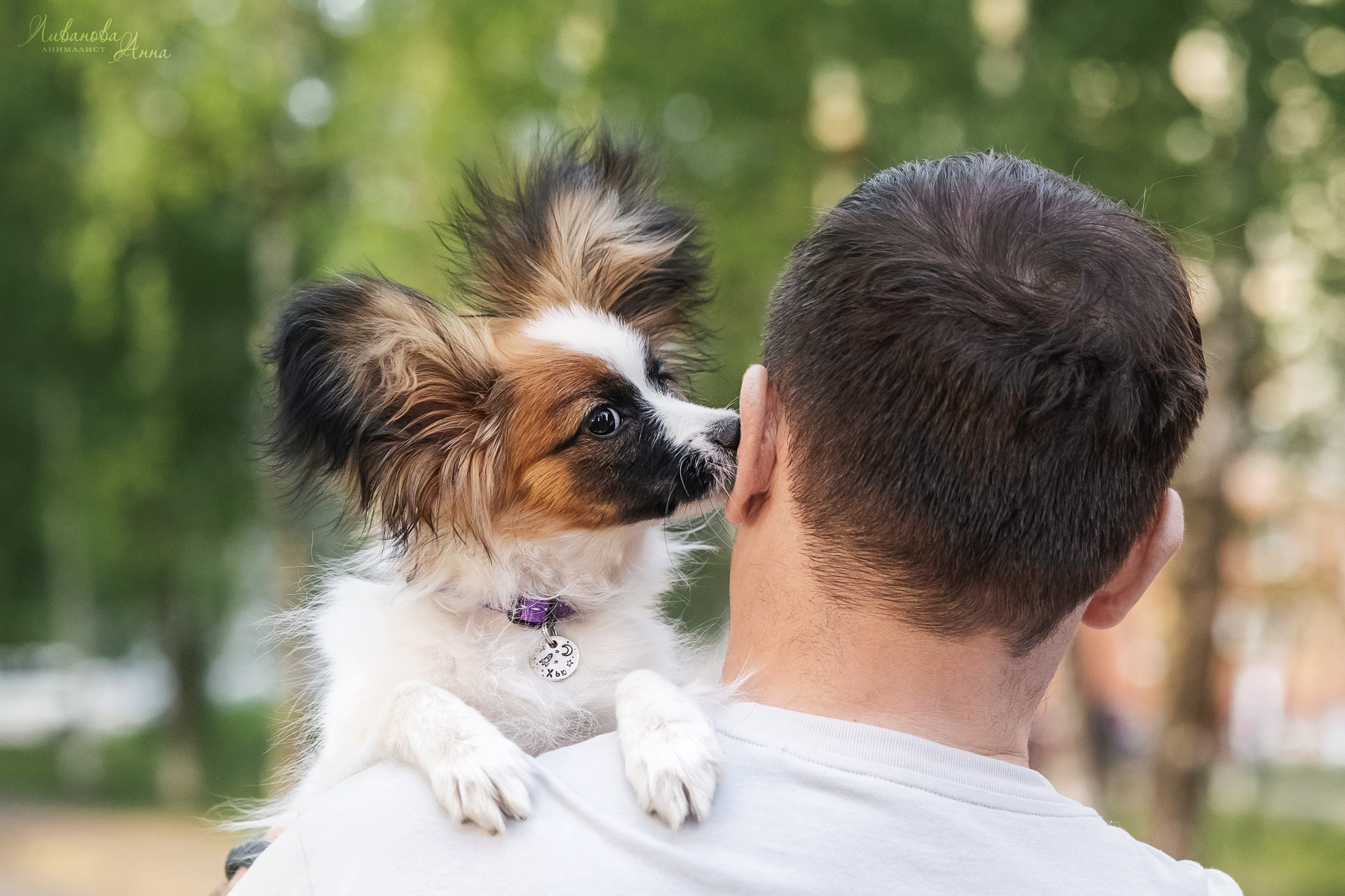 Хьюстон. Фотограф анималист Аня Ливанова | Рыбинск