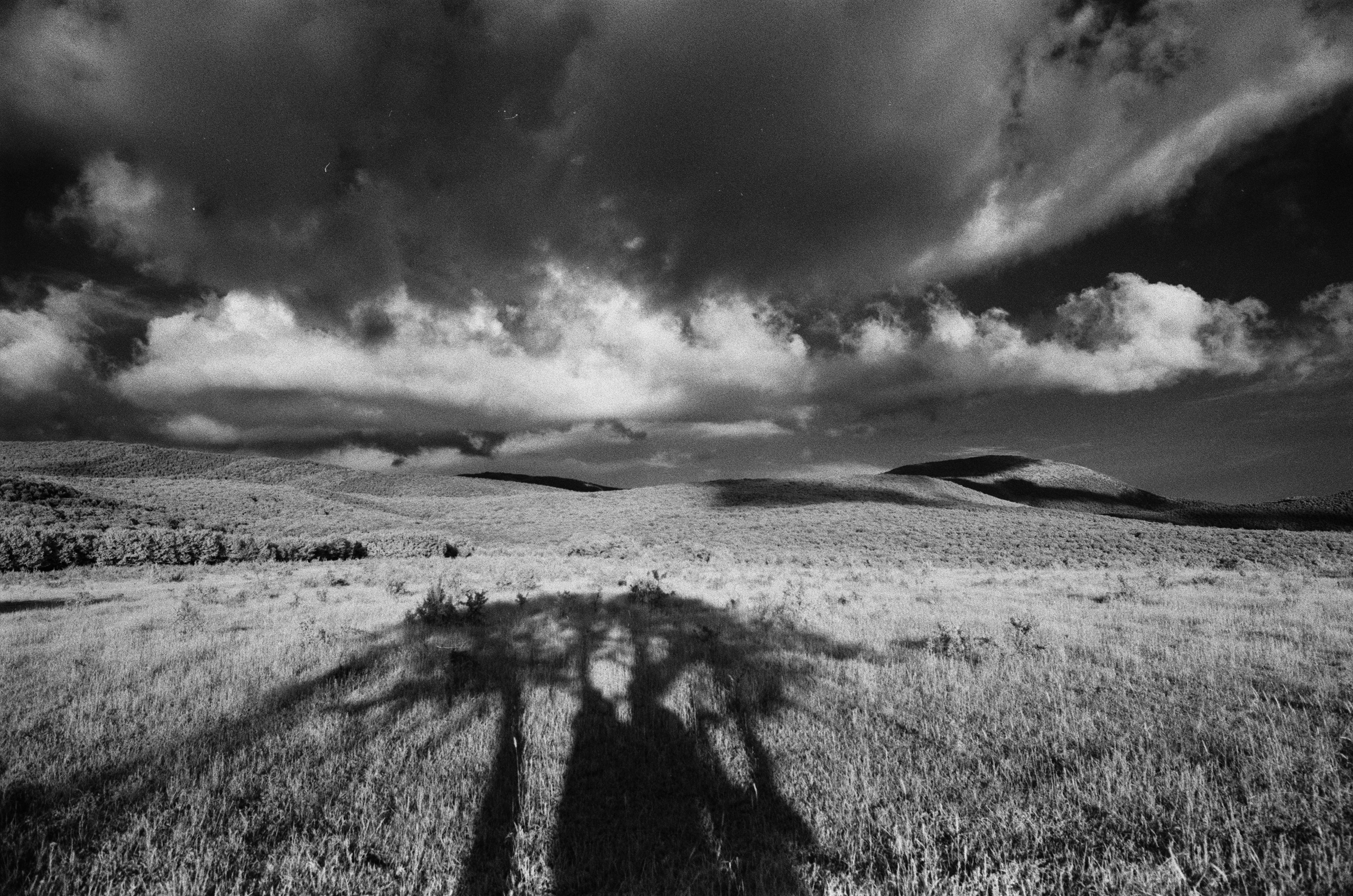 Point of no reply // ukraine, crimea V. EVER EXPOSED