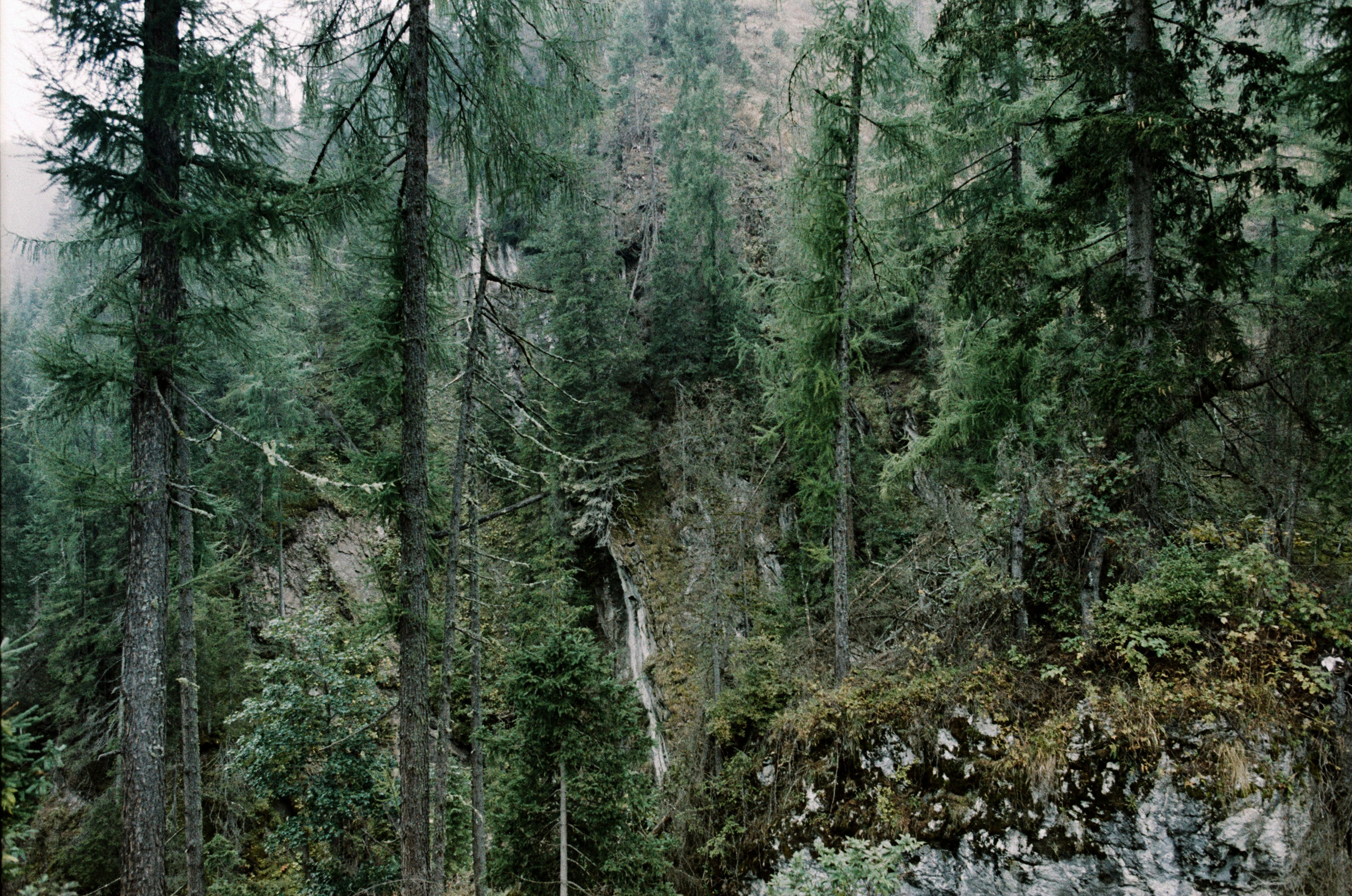 Wasted // italy, dolomites II. EVER EXPOSED