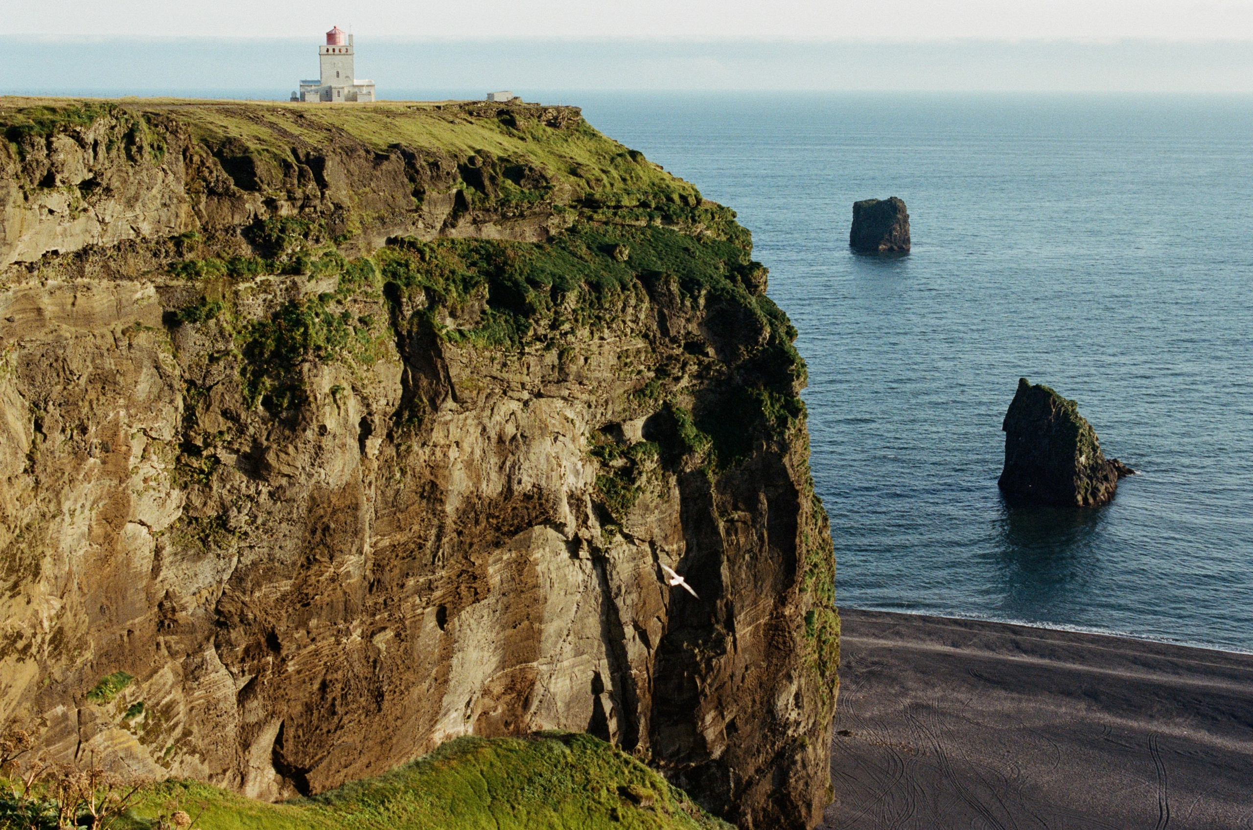 Vor i vaglaskogi // iceland, dyrhólaey. EVER EXPOSED
