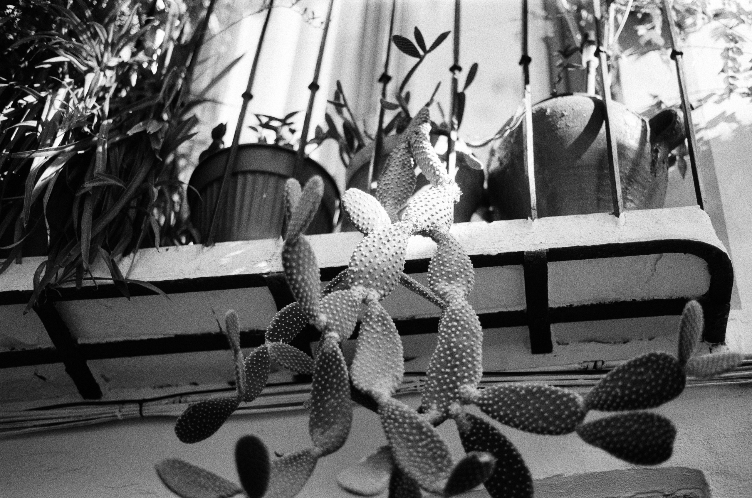 Spanish sahara // spain, granada. EVER EXPOSED