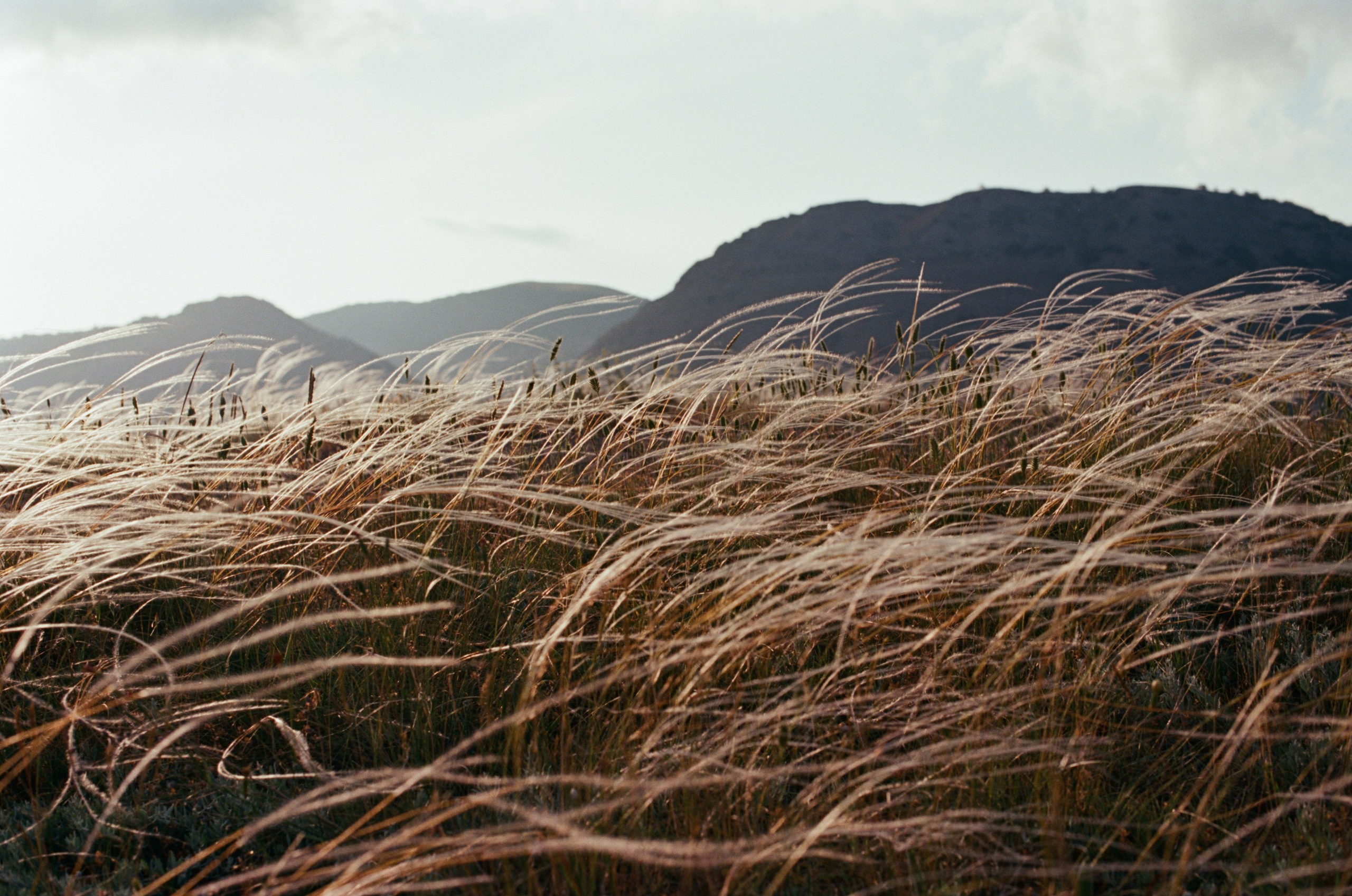 This time // ukraine, crimea IV. EVER EXPOSED