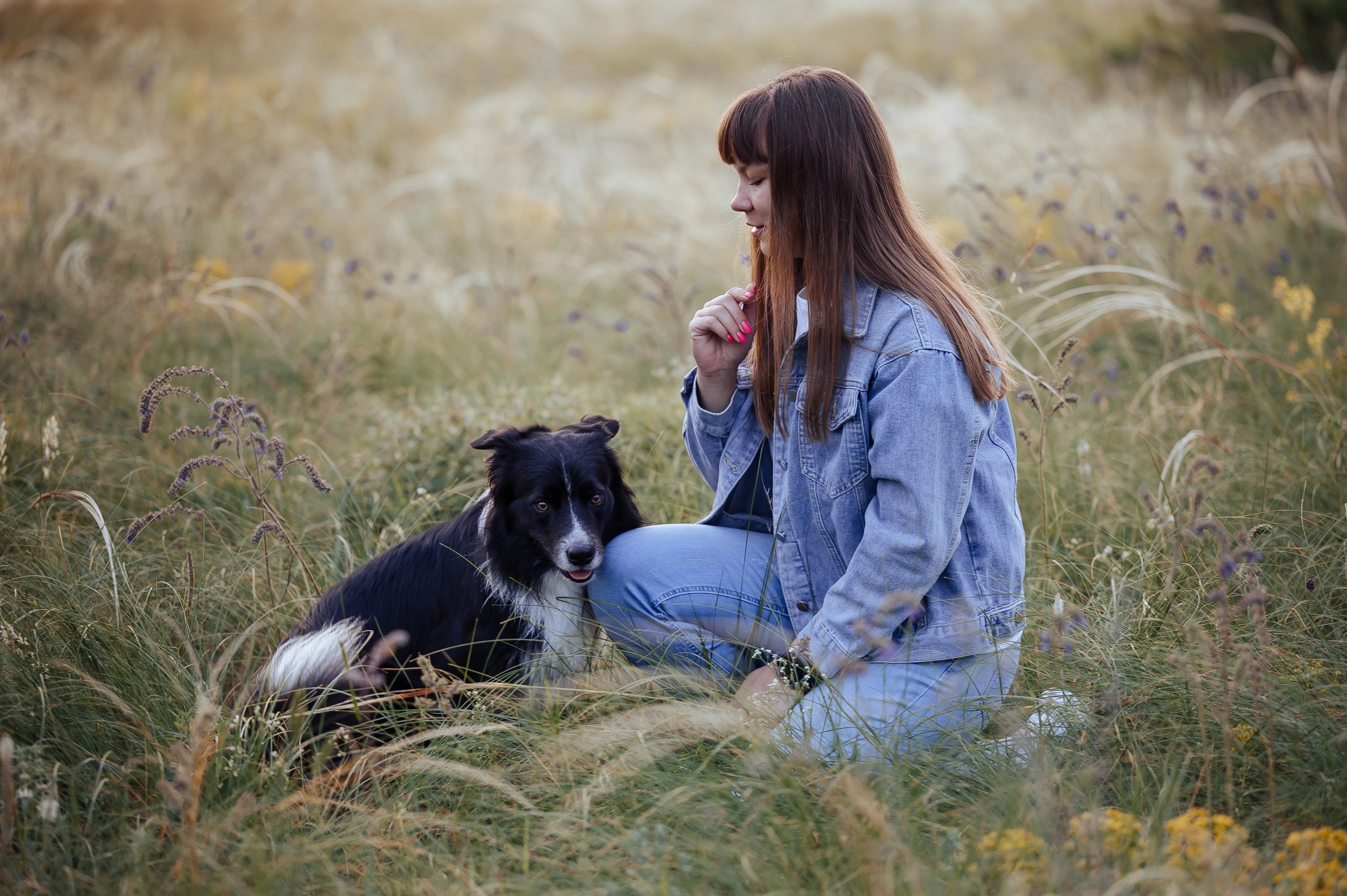 Прогулка на рассвете с бордер-колли. Фотограф в Ростове —на — Дону