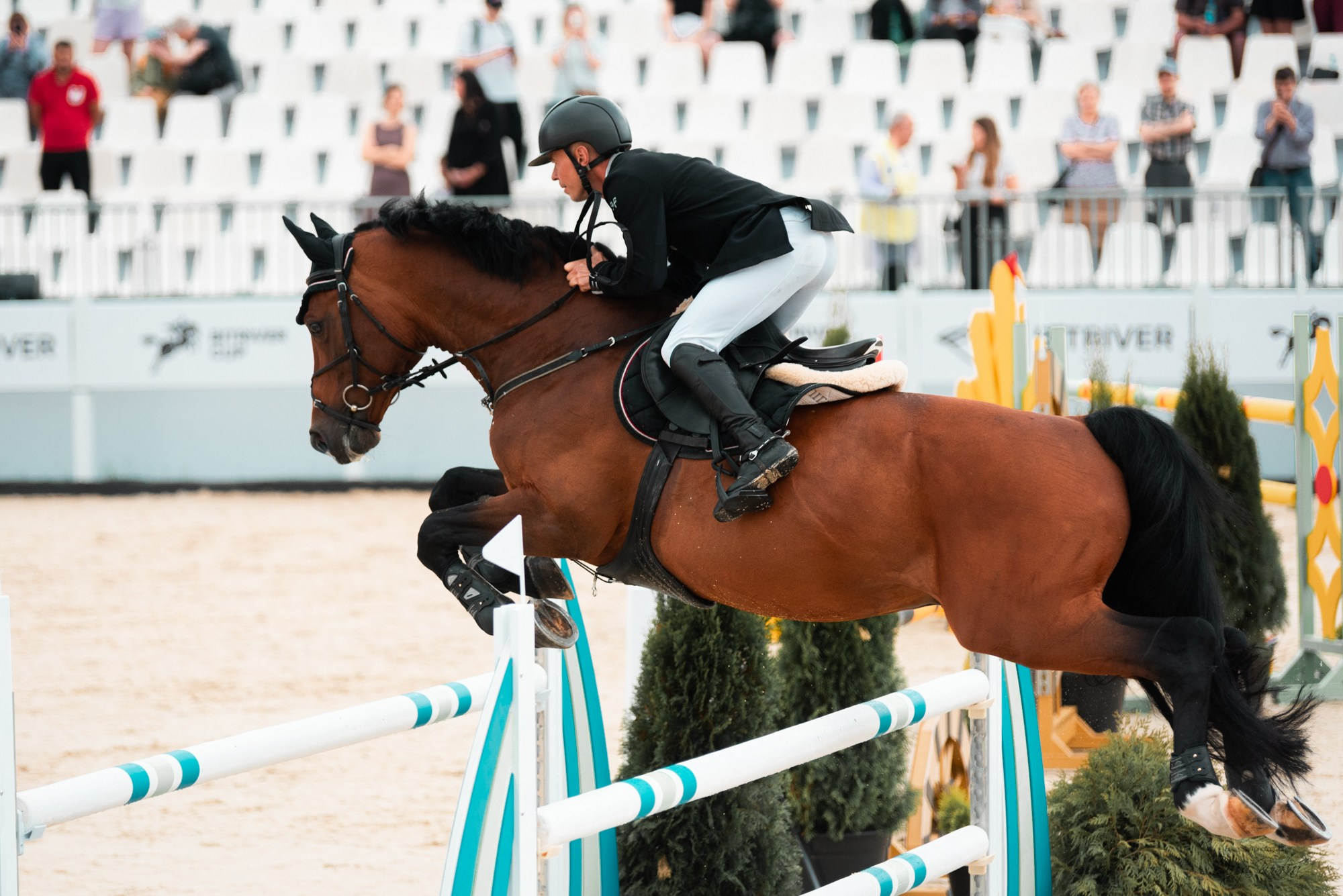 BITRIVER CUP 2023. Конный фотограф Куракина Дарья • Фотосессии с лошадьми