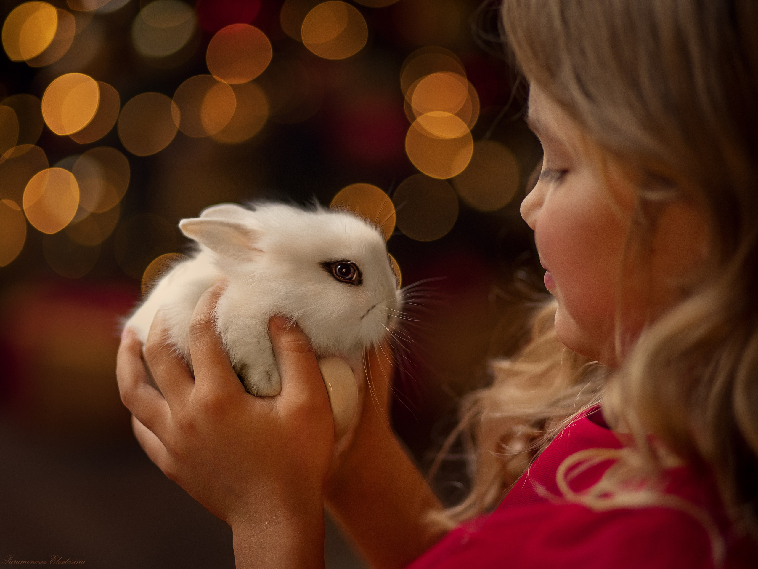 Кроли. Семейный и детский фотограф В Москве Парамонова Екатерина