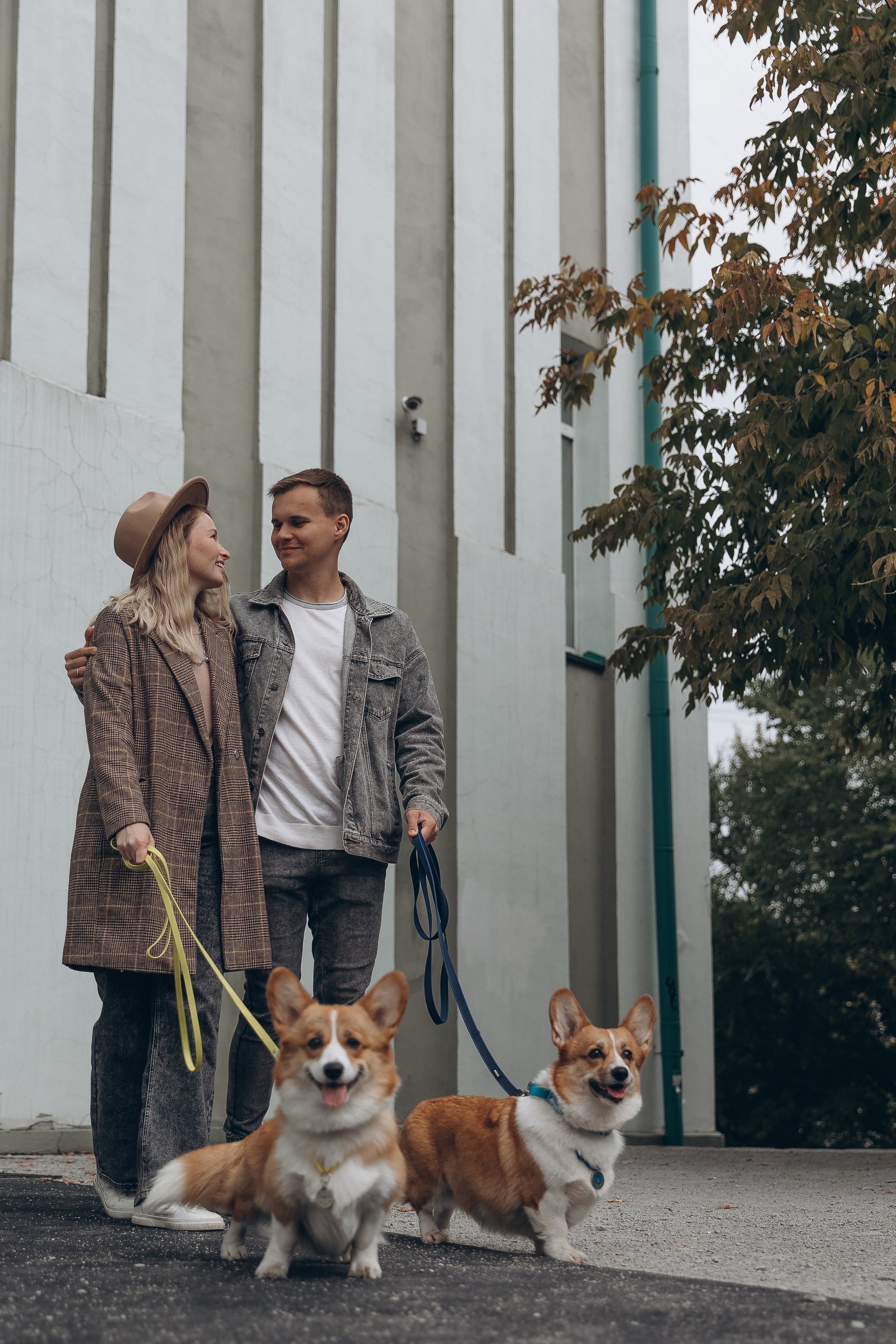 «Королевский Корги» 2. Фотограф Алина Ионычева в Новосибирске